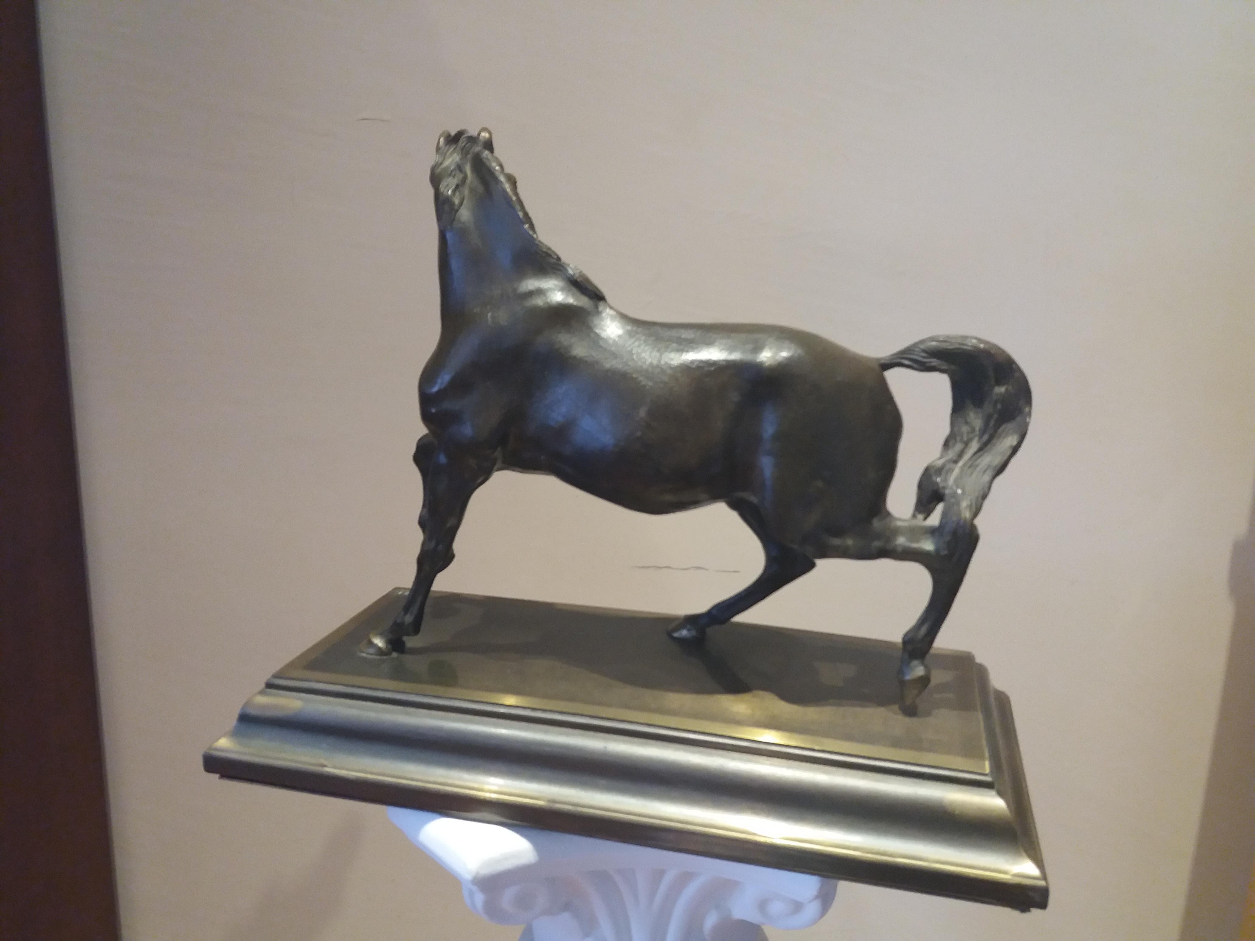 cheval.  19ème siècle    sculpture en bronze - Or Figurative Sculpture par Unknown