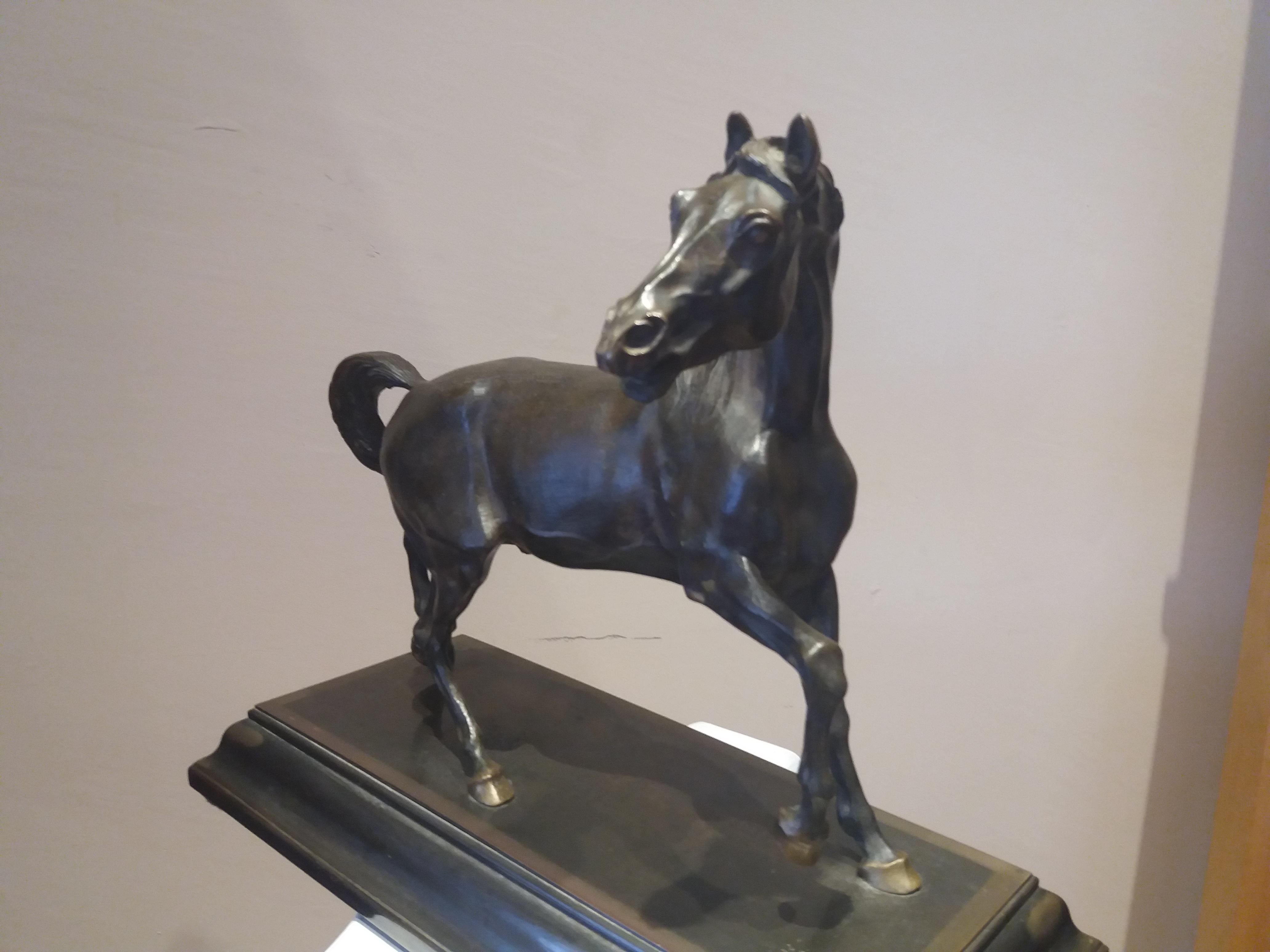 
cheval. Sculpture en bronze du 19e siècle

les dimensions avec la base sont 37,5 x 17,5 x 31 cm