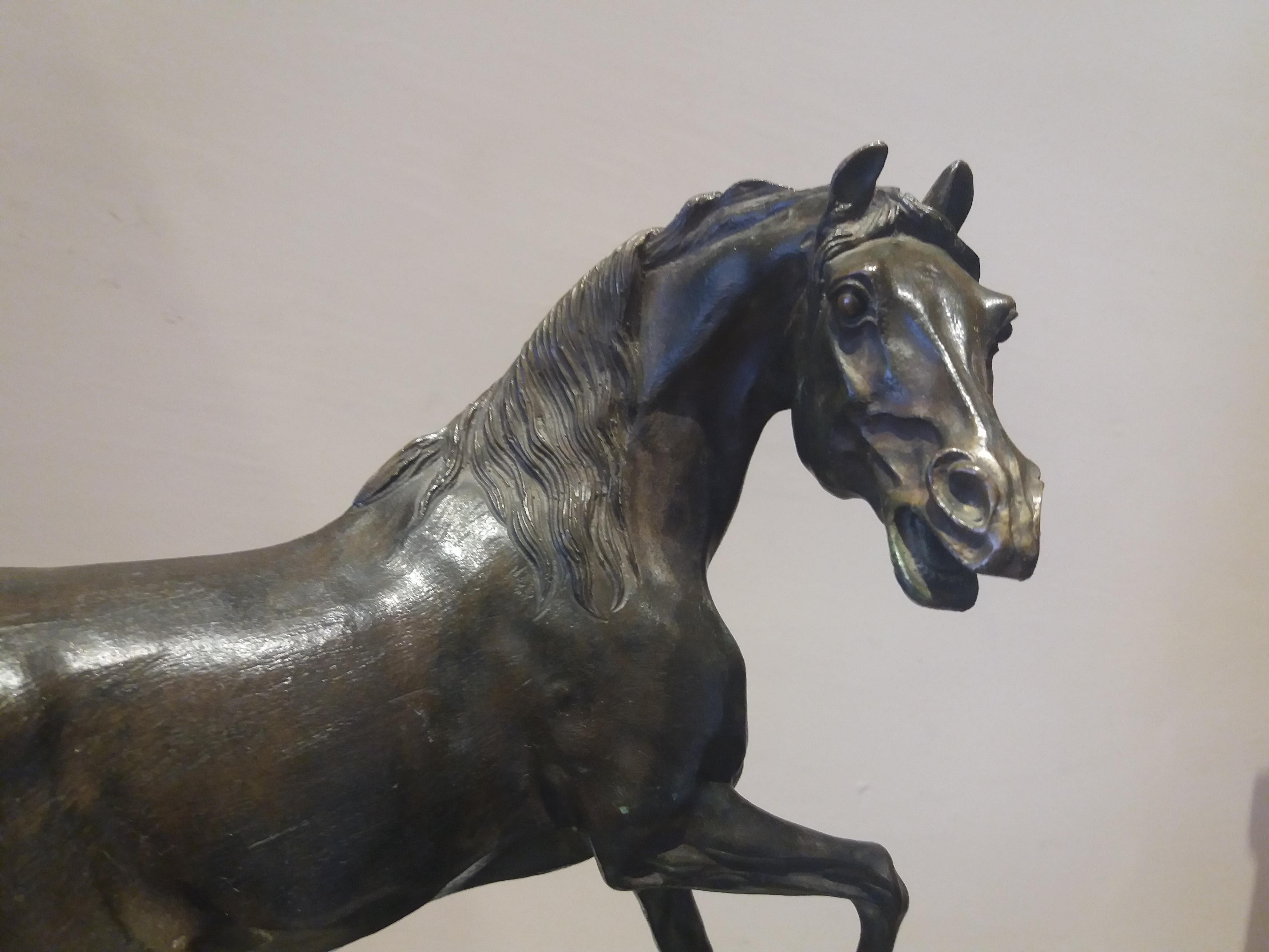  horse. 19th century bronze sculpture - Gold Figurative Sculpture by Unknown