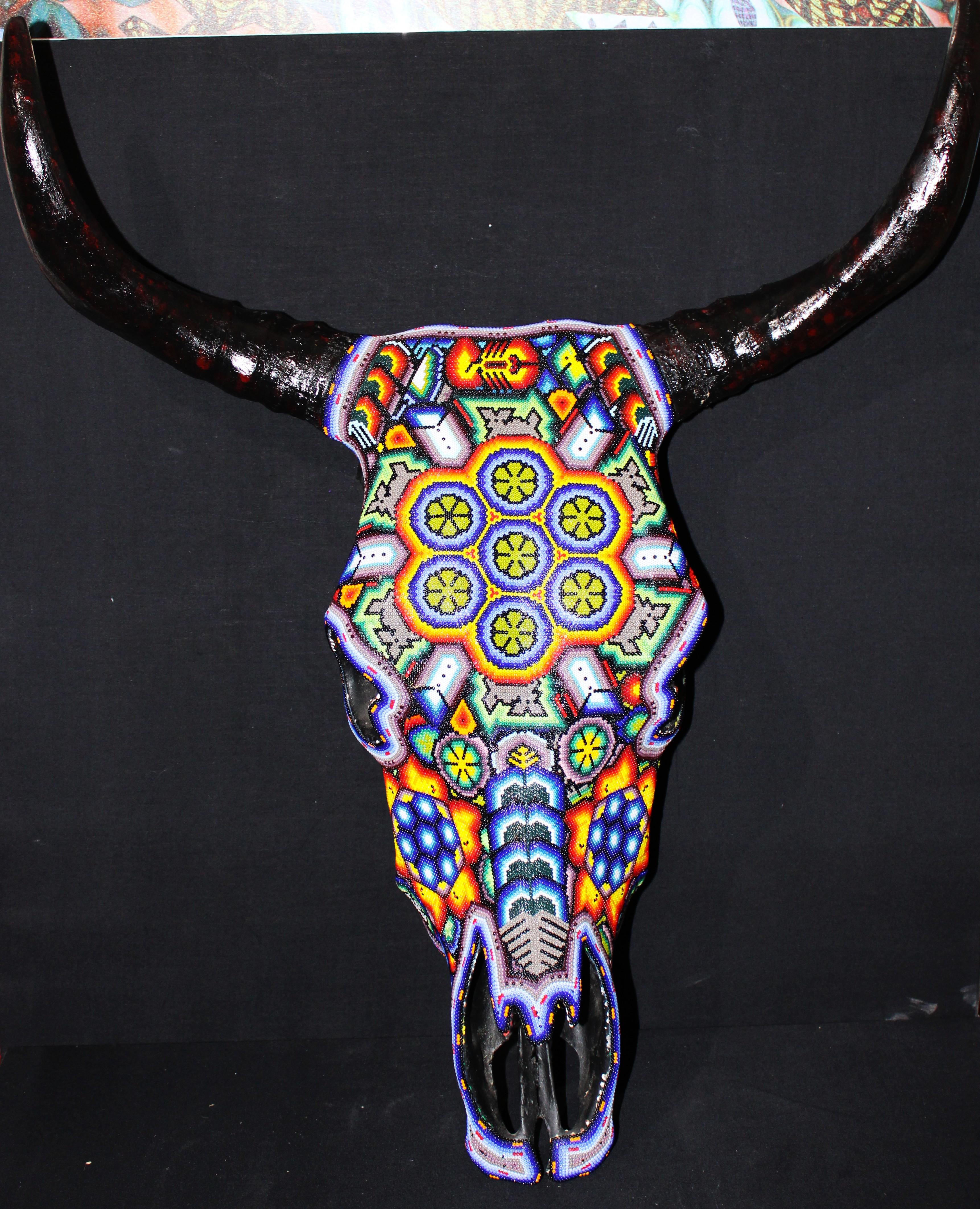 CRANIO DI TORO HUICHOL. . . . . in vendita 8
