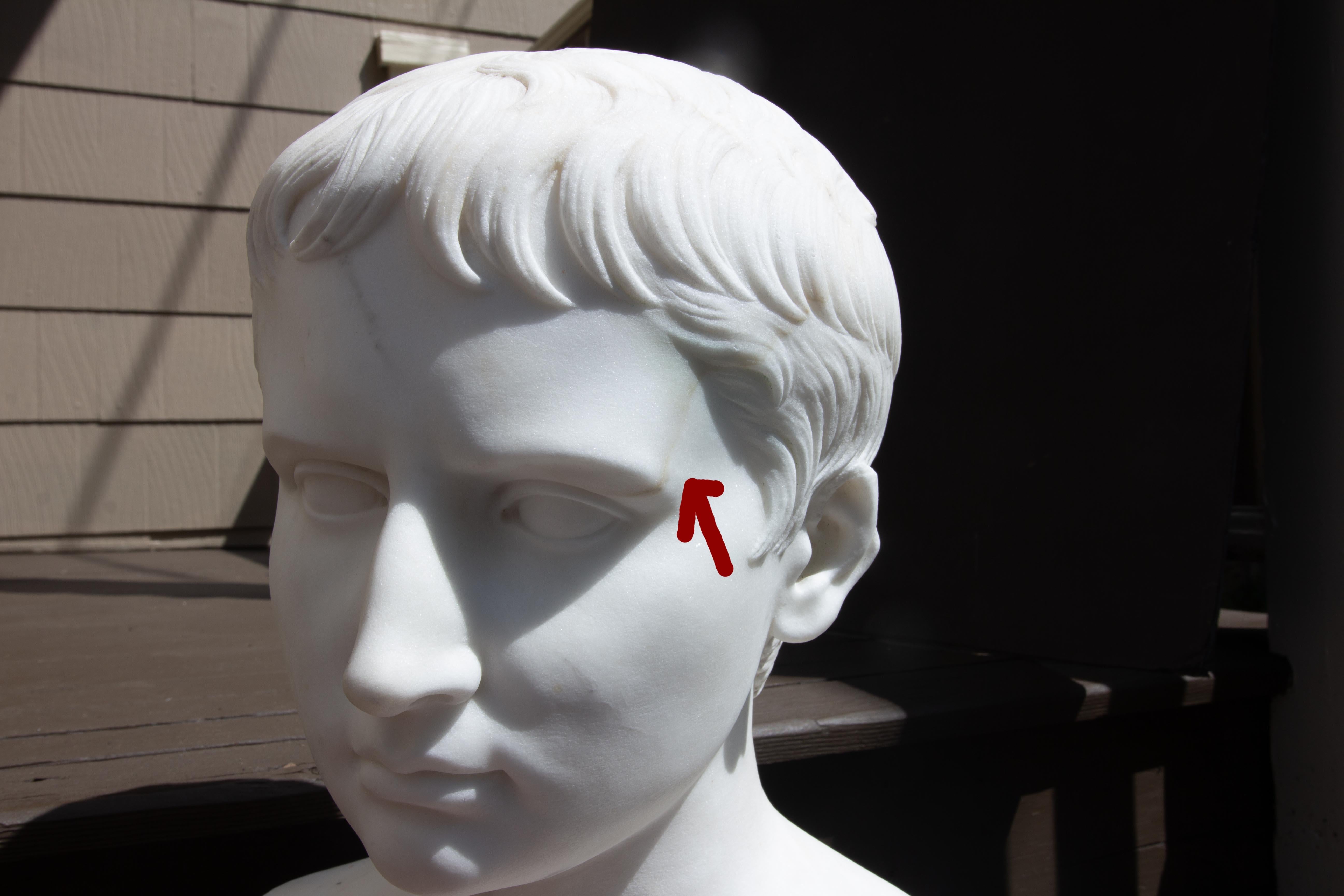 Busto in marmo di Augusto Cesare di Carrara del 19° secolo in vendita 3