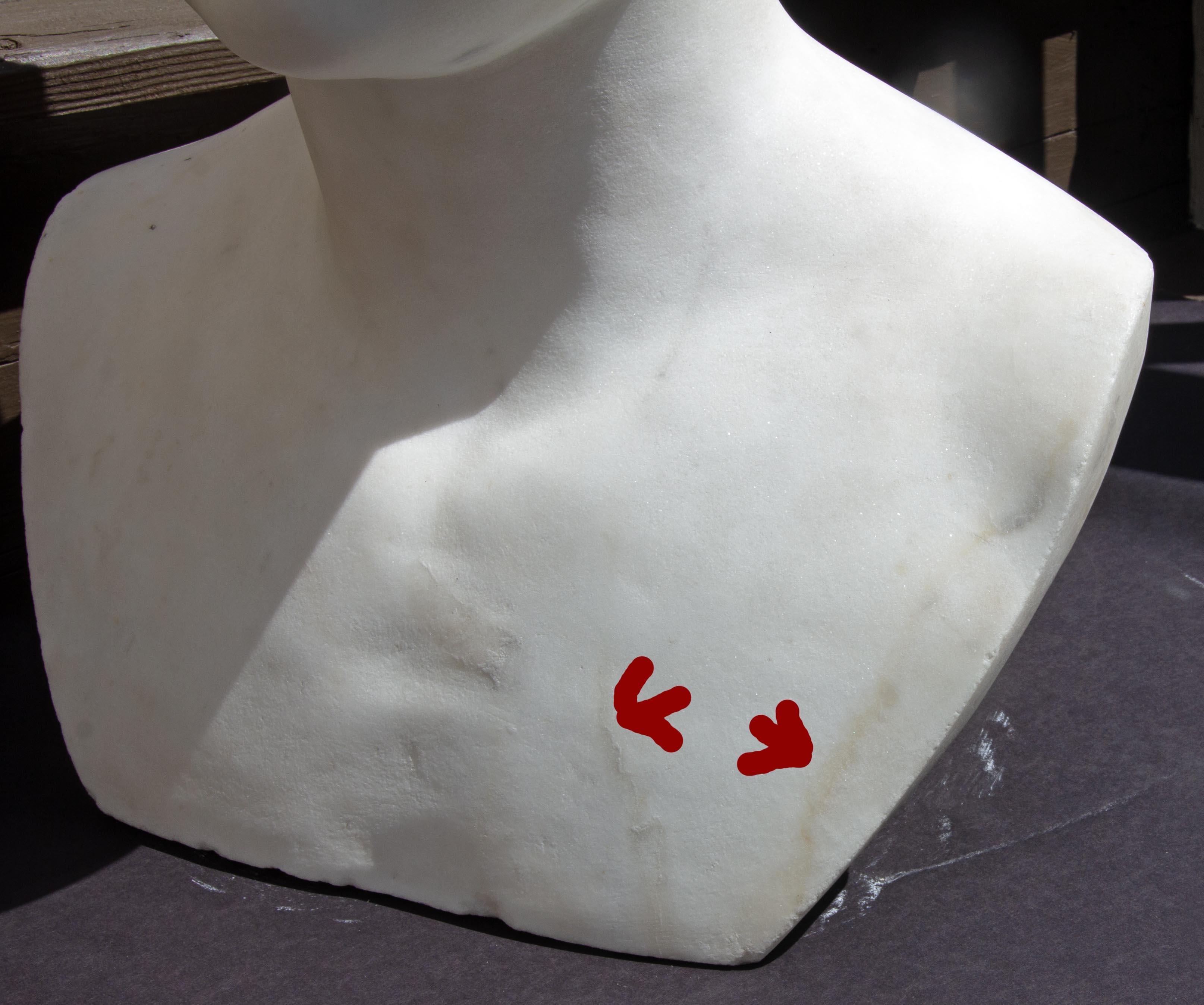 Busto in marmo di Augusto Cesare di Carrara del 19° secolo in vendita 4