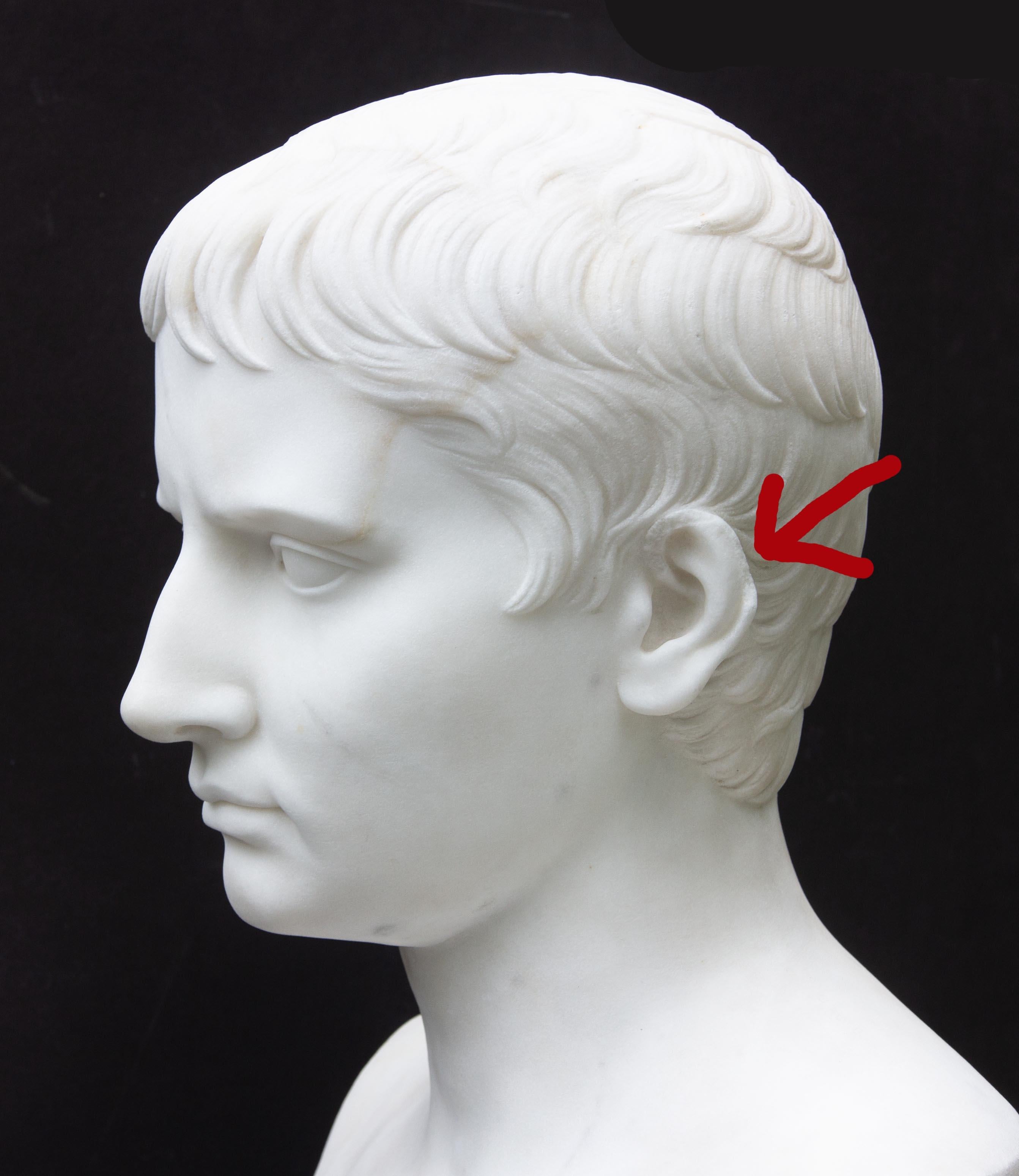 Busto in marmo di Augusto Cesare di Carrara del 19° secolo in vendita 5