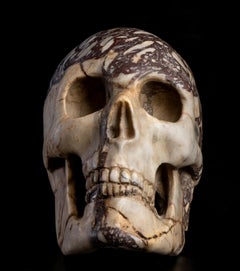 Italian Grand Tour Specimen Breccia Marble Skull Sculpture Circle of Boschetti