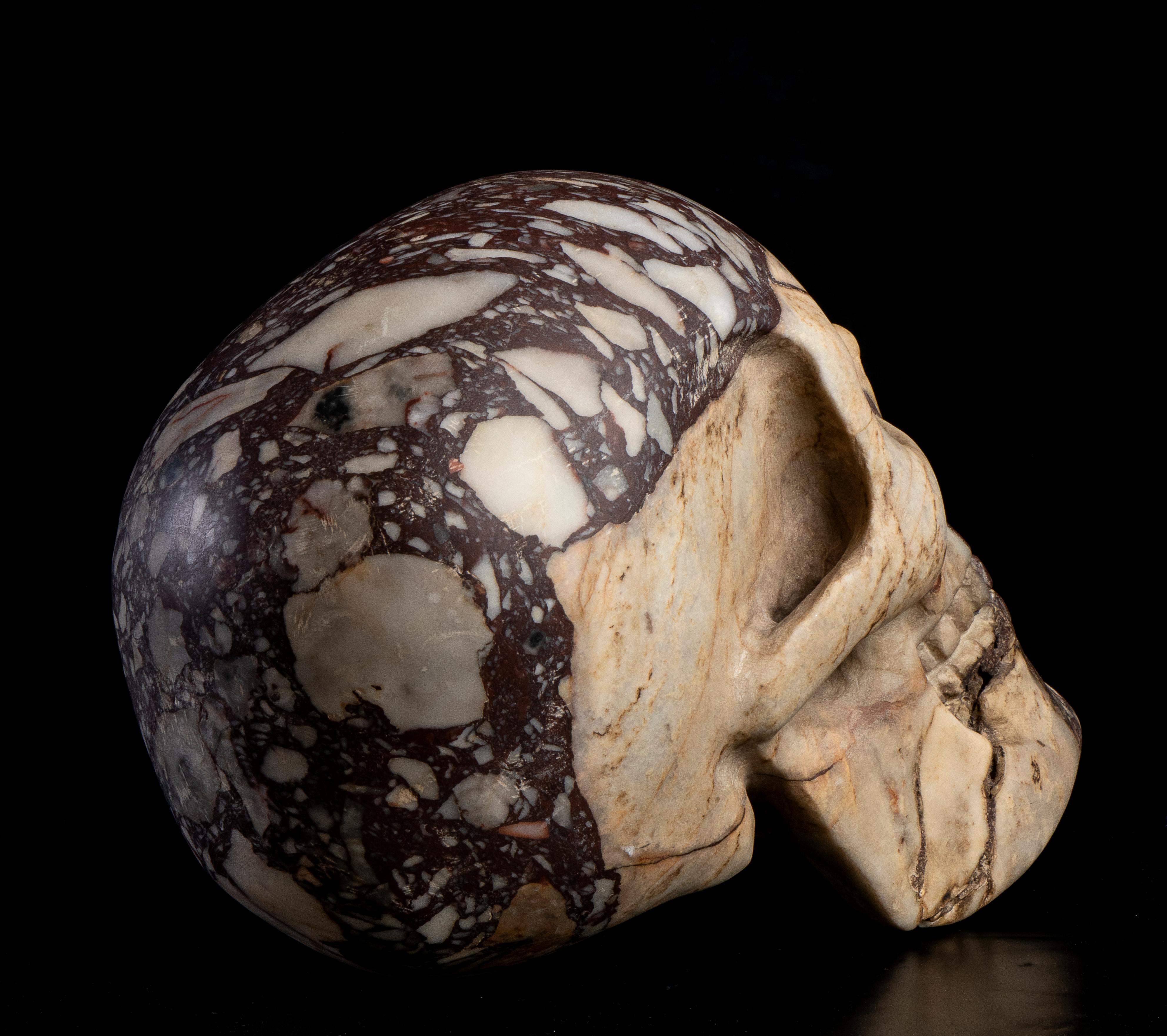 Italian Grand Tour Specimen Breccia Marble Skull Sculpture Circle of Boschetti  2