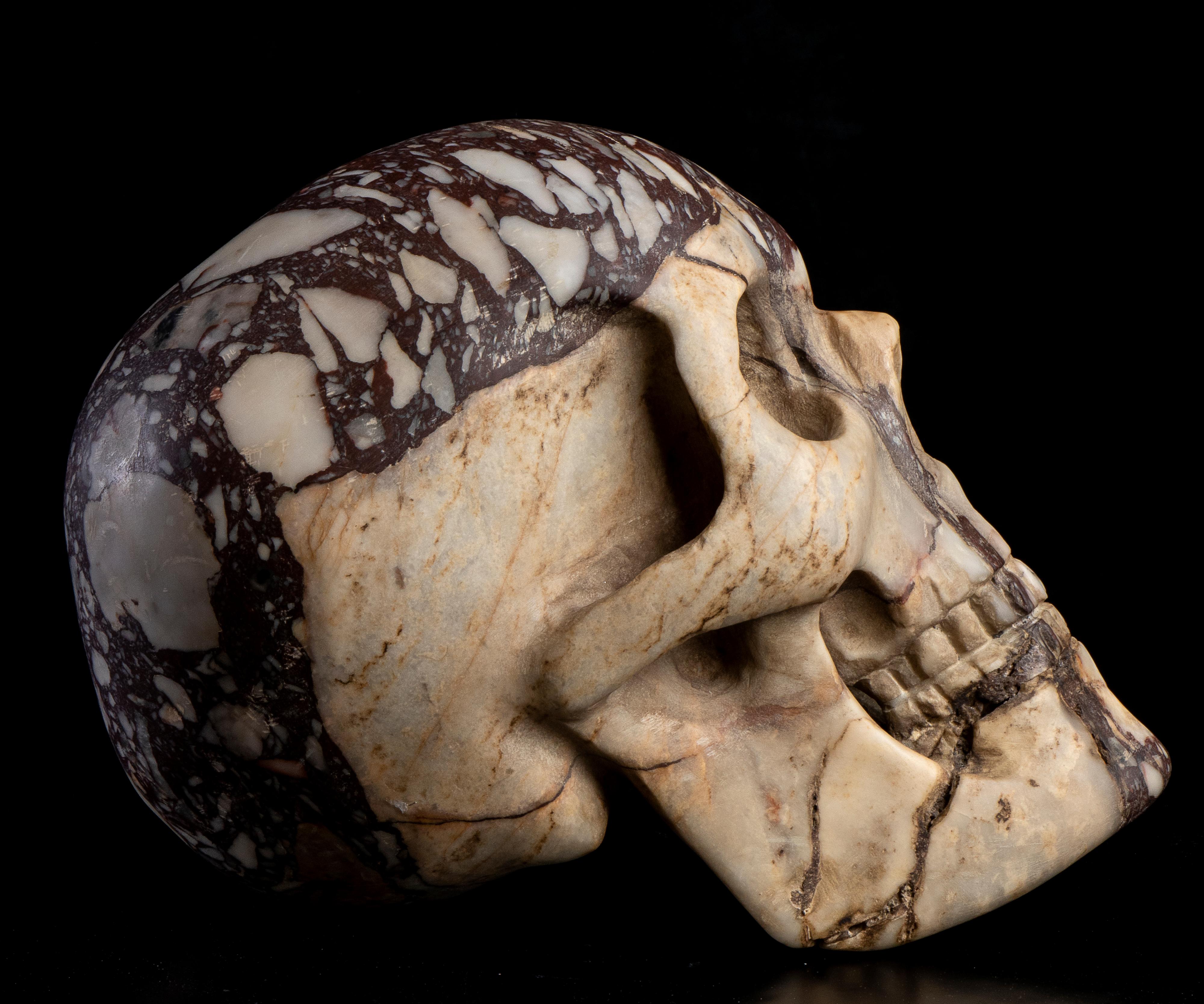 Italian Grand Tour Specimen Breccia Marble Skull Sculpture Circle of Boschetti  3