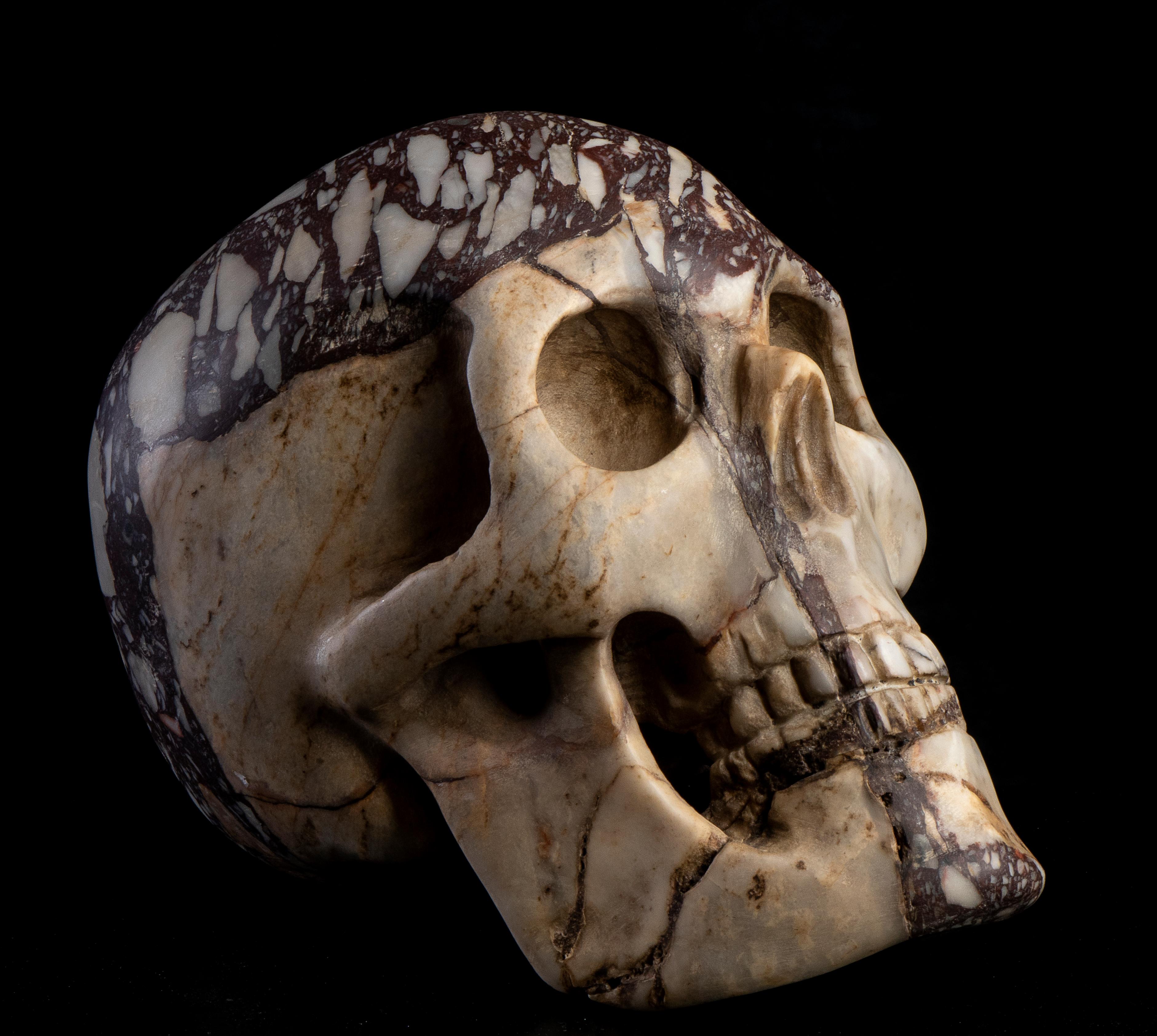 Italian Grand Tour Specimen Breccia Marble Skull Sculpture Circle of Boschetti  4