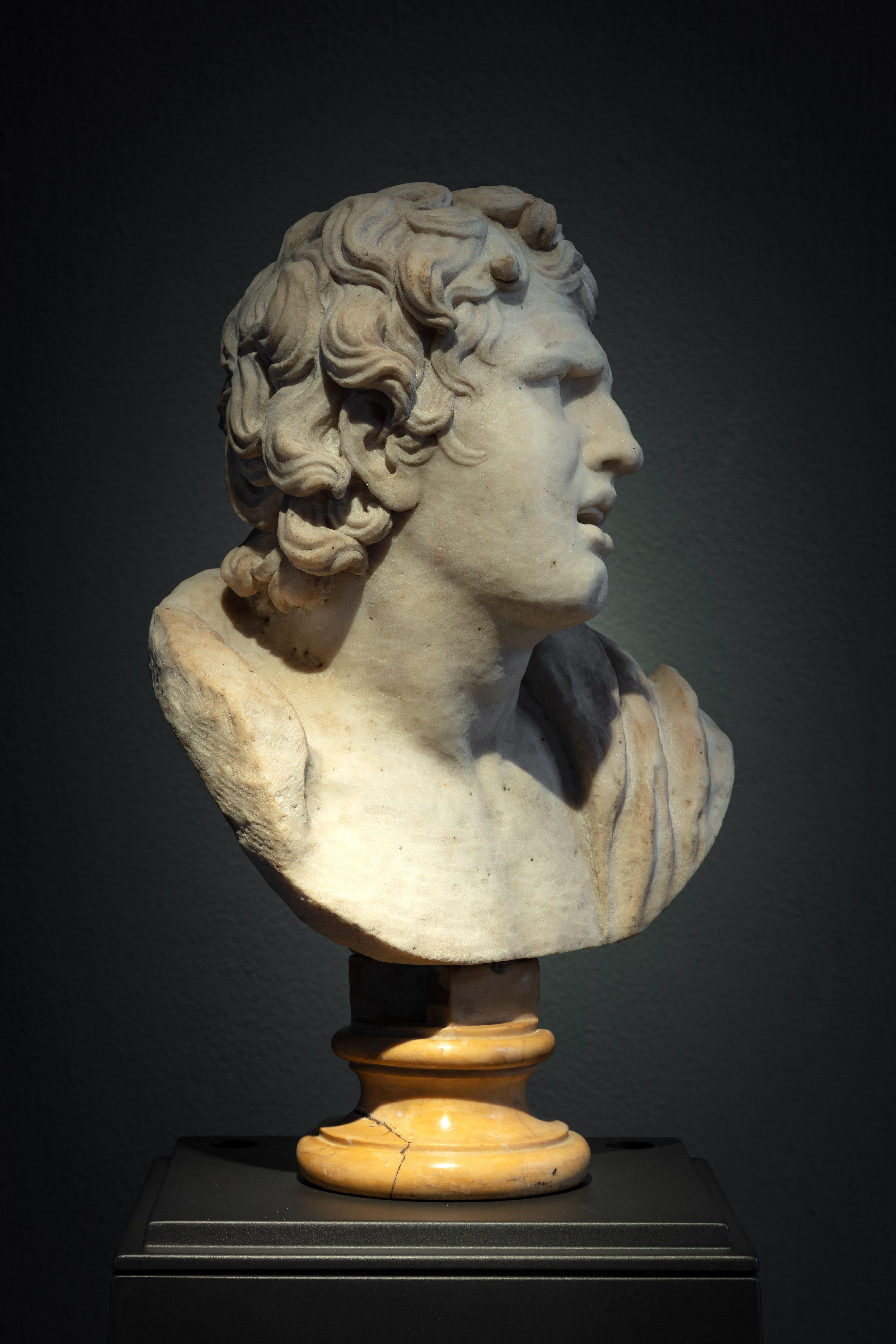 FIGURA NEOCLASSICA ITALIANA DI Alexander IL GRANDE, Roma, XVIII secolo - Sculpture di Unknown