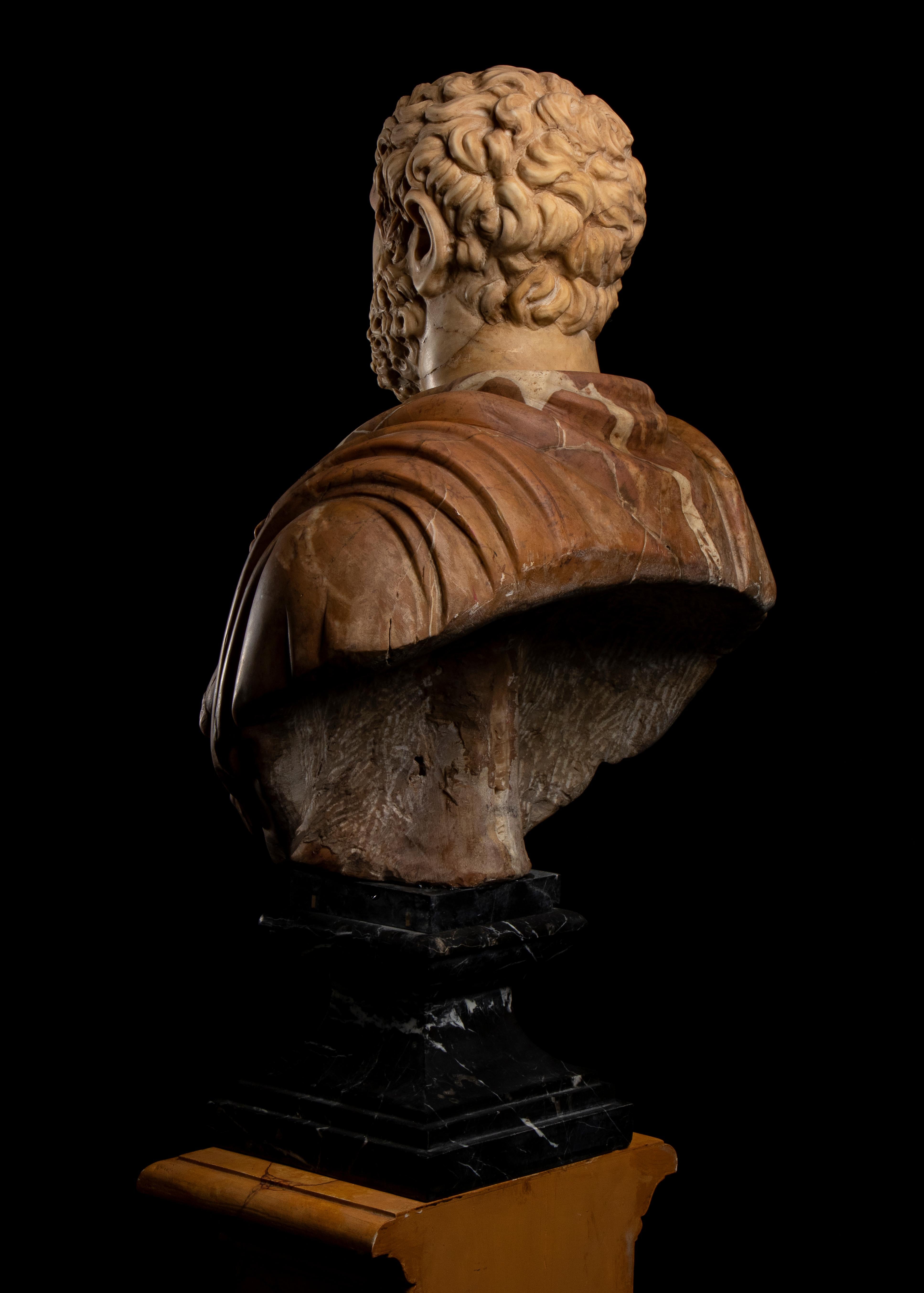 Italian Polychrome Marble Sculpture Portrait Roman Emperor Septimius Severus For Sale 4