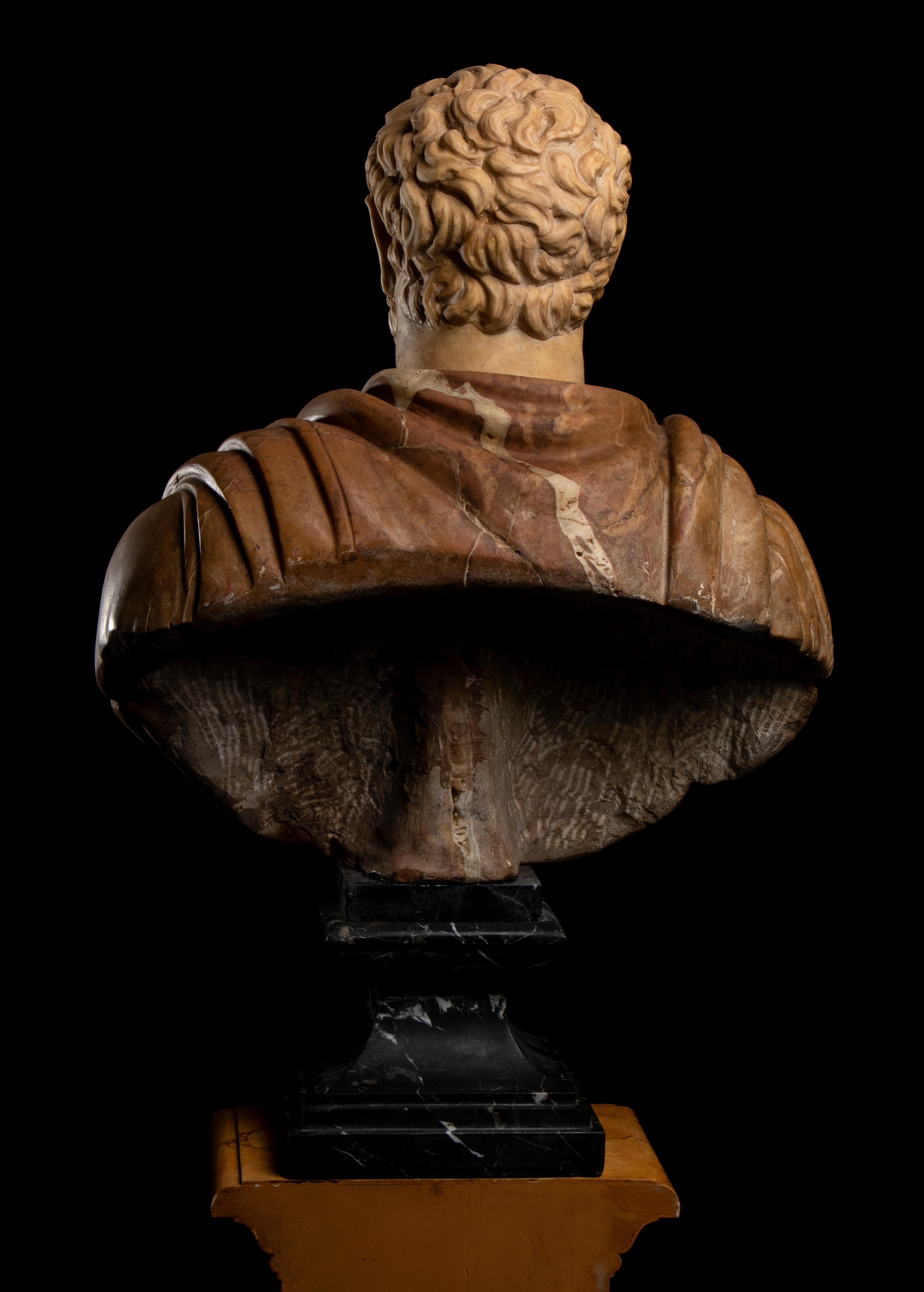 Italian Polychrome Marble Sculpture Portrait Roman Emperor Septimius Severus For Sale 5