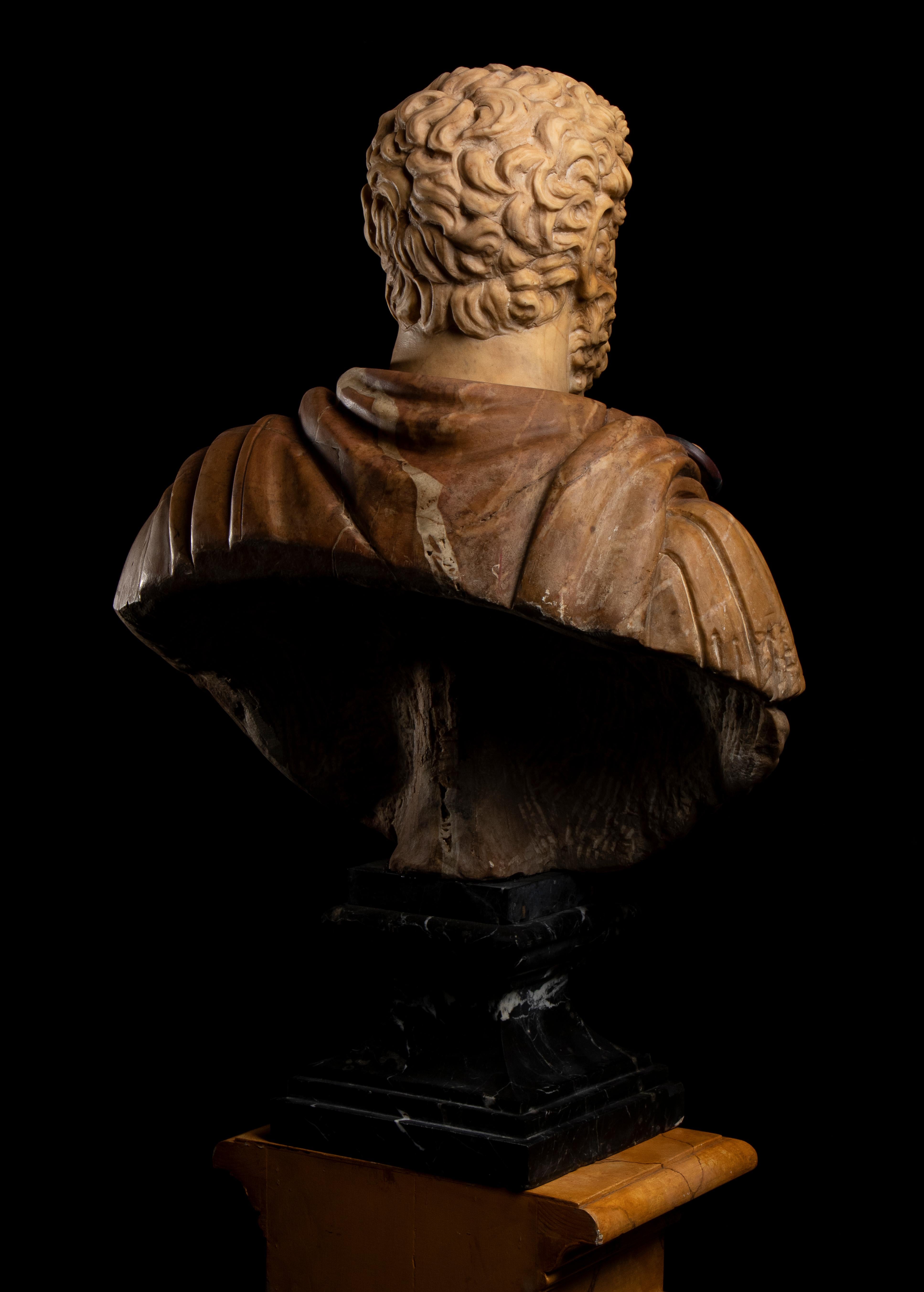 Italian Polychrome Marble Sculpture Portrait Roman Emperor Septimius Severus For Sale 6