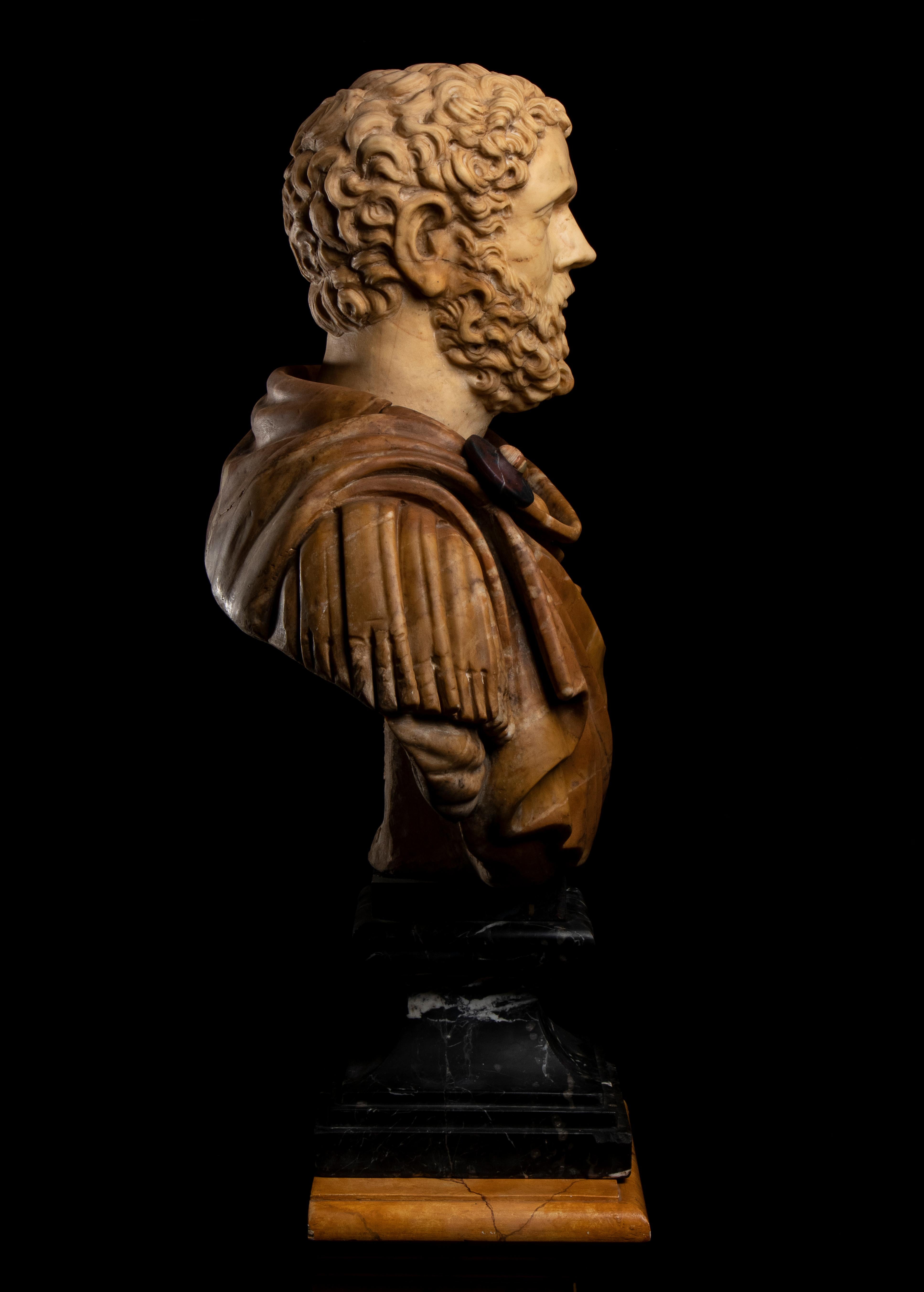 Italian Polychrome Marble Sculpture Portrait Roman Emperor Septimius Severus For Sale 7
