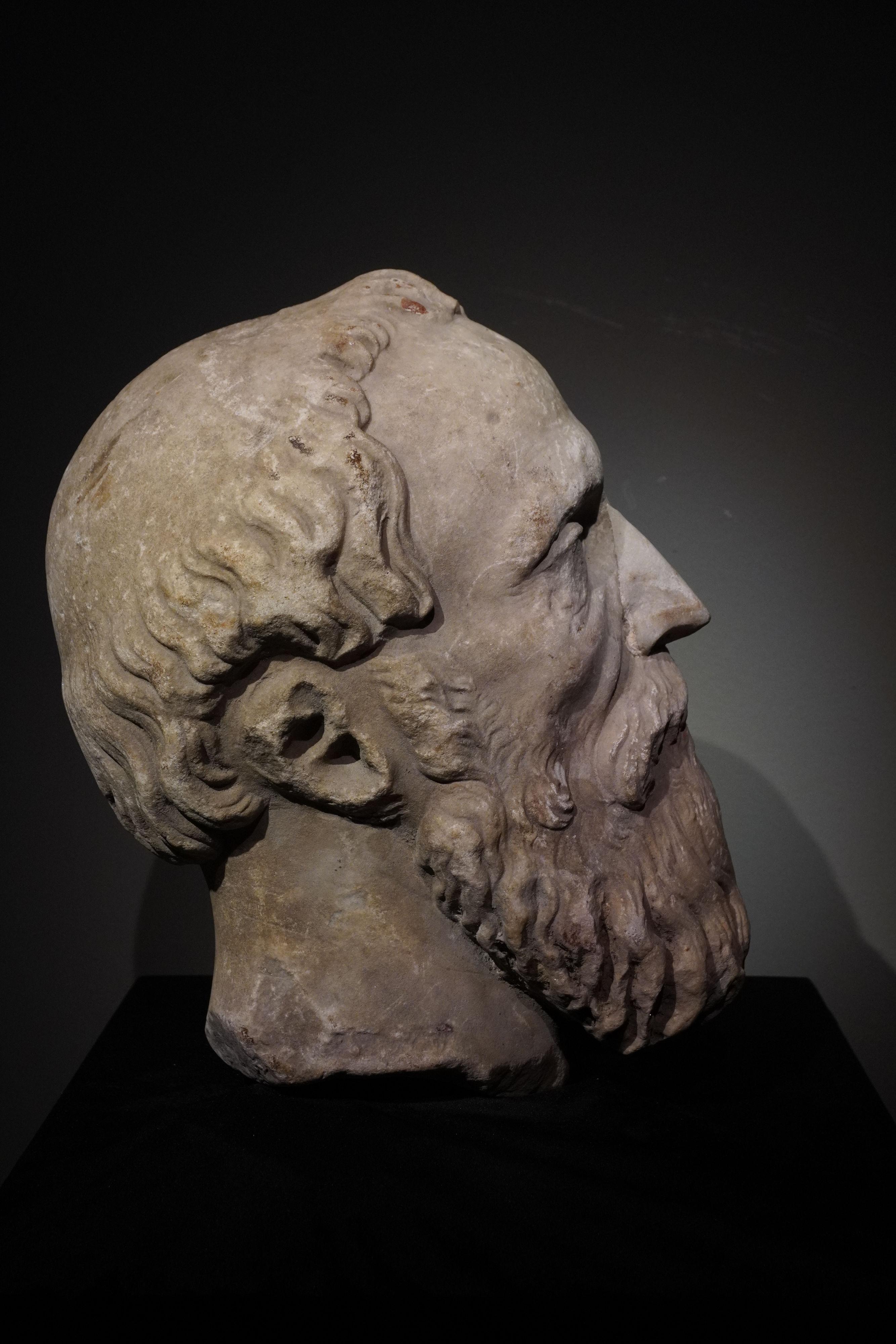 PORTRAIT ITALIEN DE LA RENAISSANCE TÊTE D'HOMME BARBU en vente 1