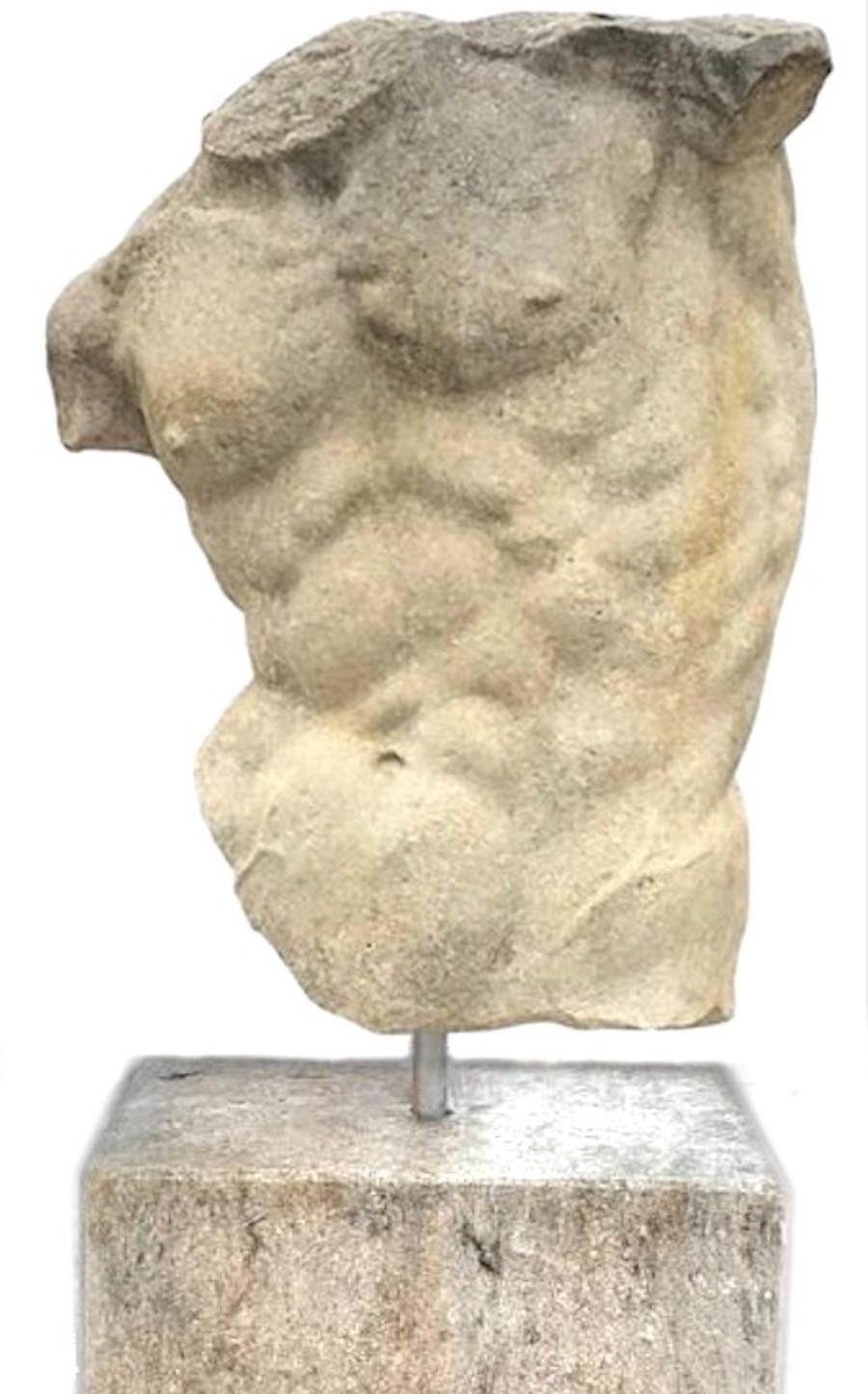 Unknown Figurative Sculpture - Italian Stone Sculpture of Classical Torso with Base