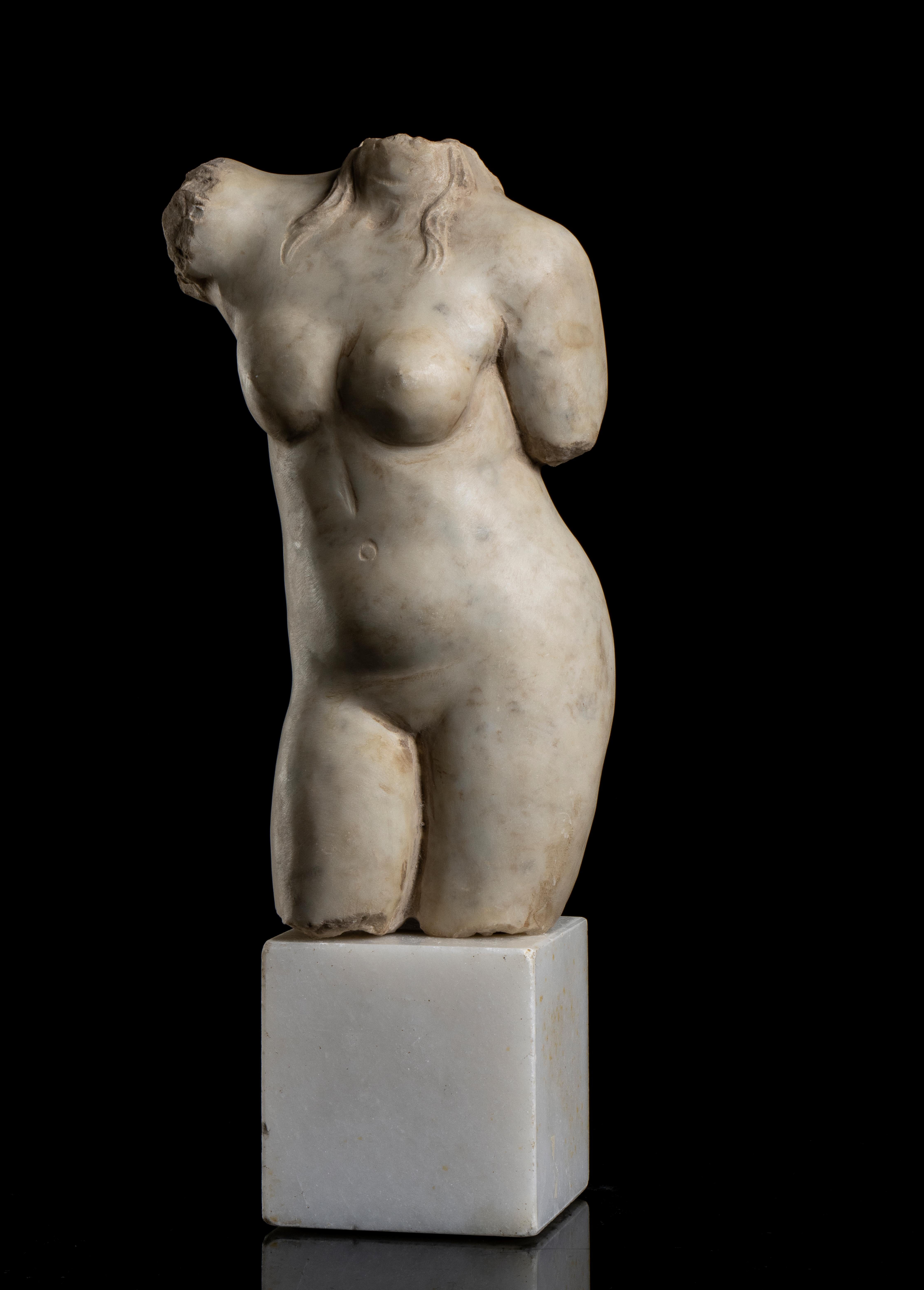 Italienische weiße Bildhauermarmor-Torso-Aktskulptur einer Frau, Grand Tour, klassische Grand Tour im Angebot 11