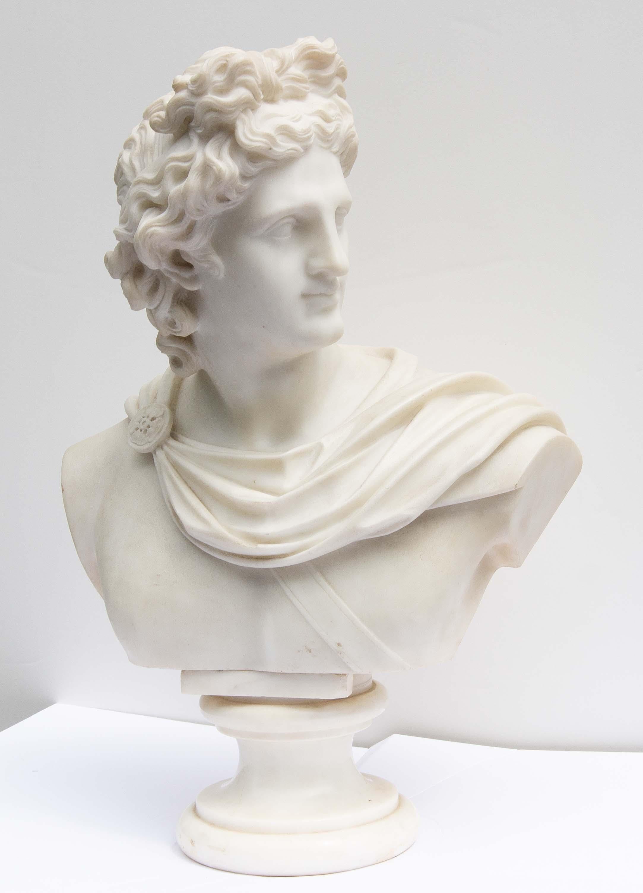 Large Antique Marble Bust of Apollo of Belvedere 19th Century - Sculpture by Unknown