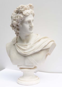 Large Antique Marble Bust of Apollo of Belvedere 19th Century