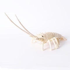 Used Large Bone Articulated Lobster Sculpture