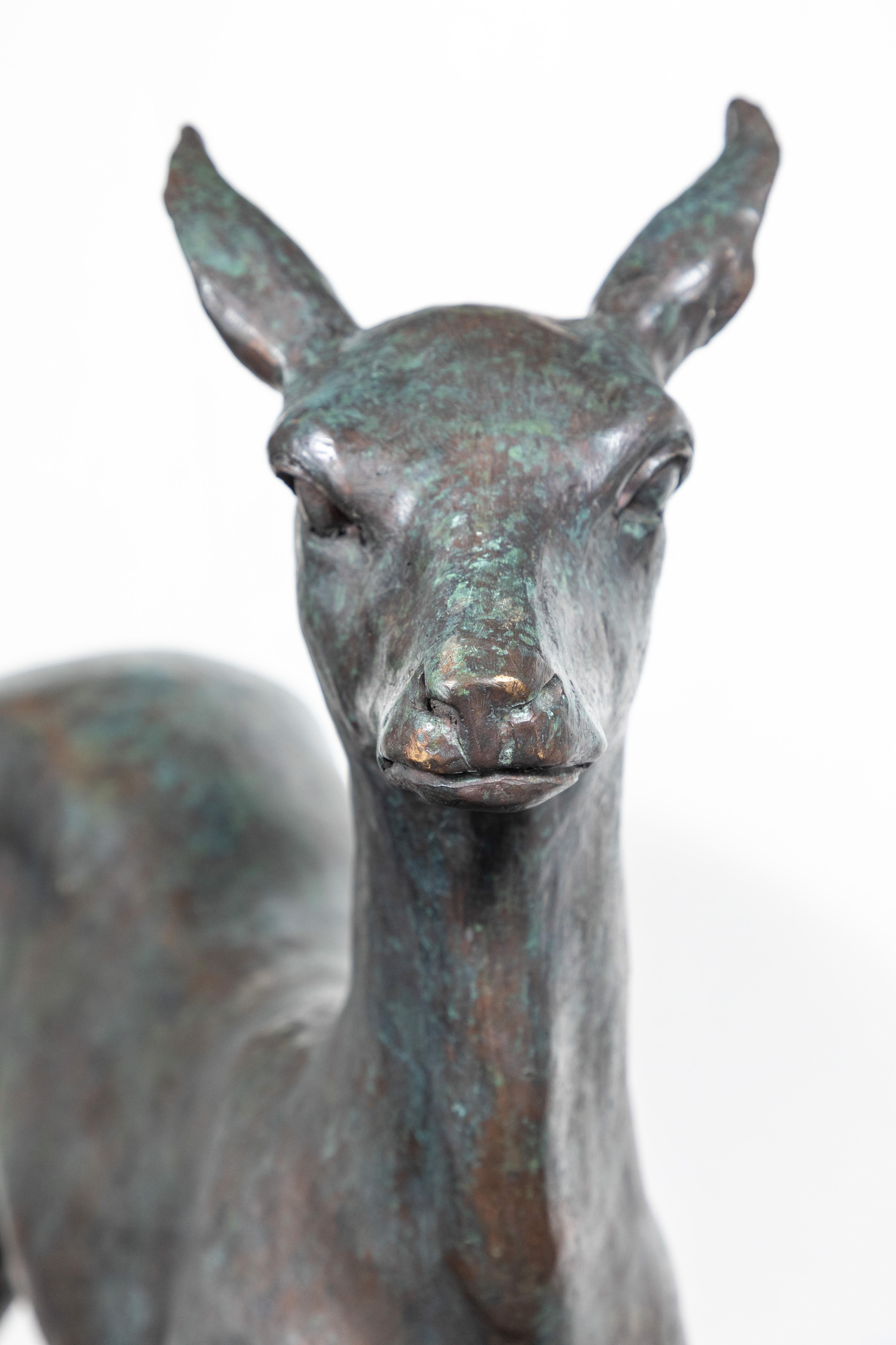 Substantial, sensitively molded, graceful circa 1940, hand-cast, bronze sculpture of a doe.