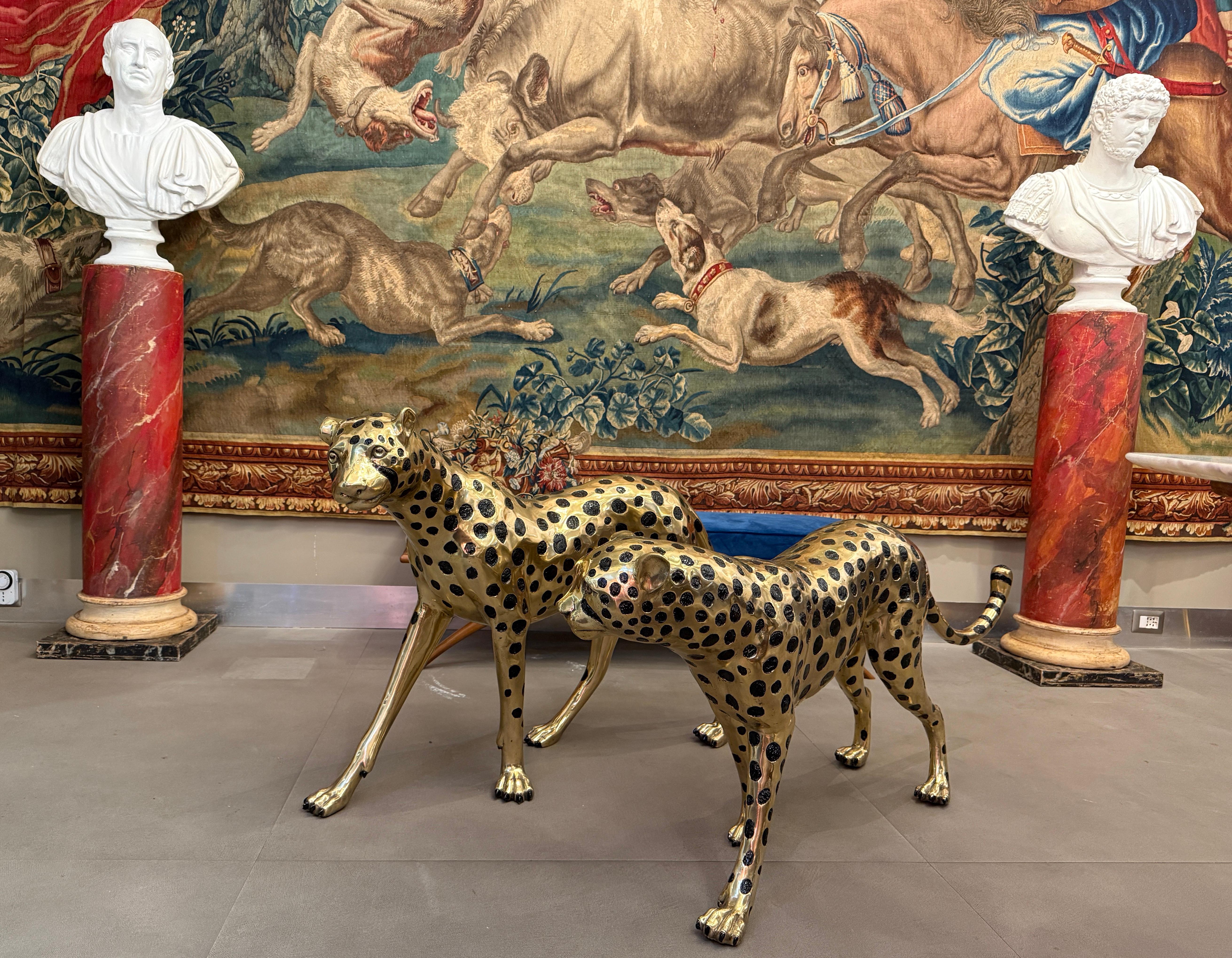 Fantástica pareja de esculturas de guepardos de bronce dorado . El artículo se adaptará bien a un entorno interior o exterior.