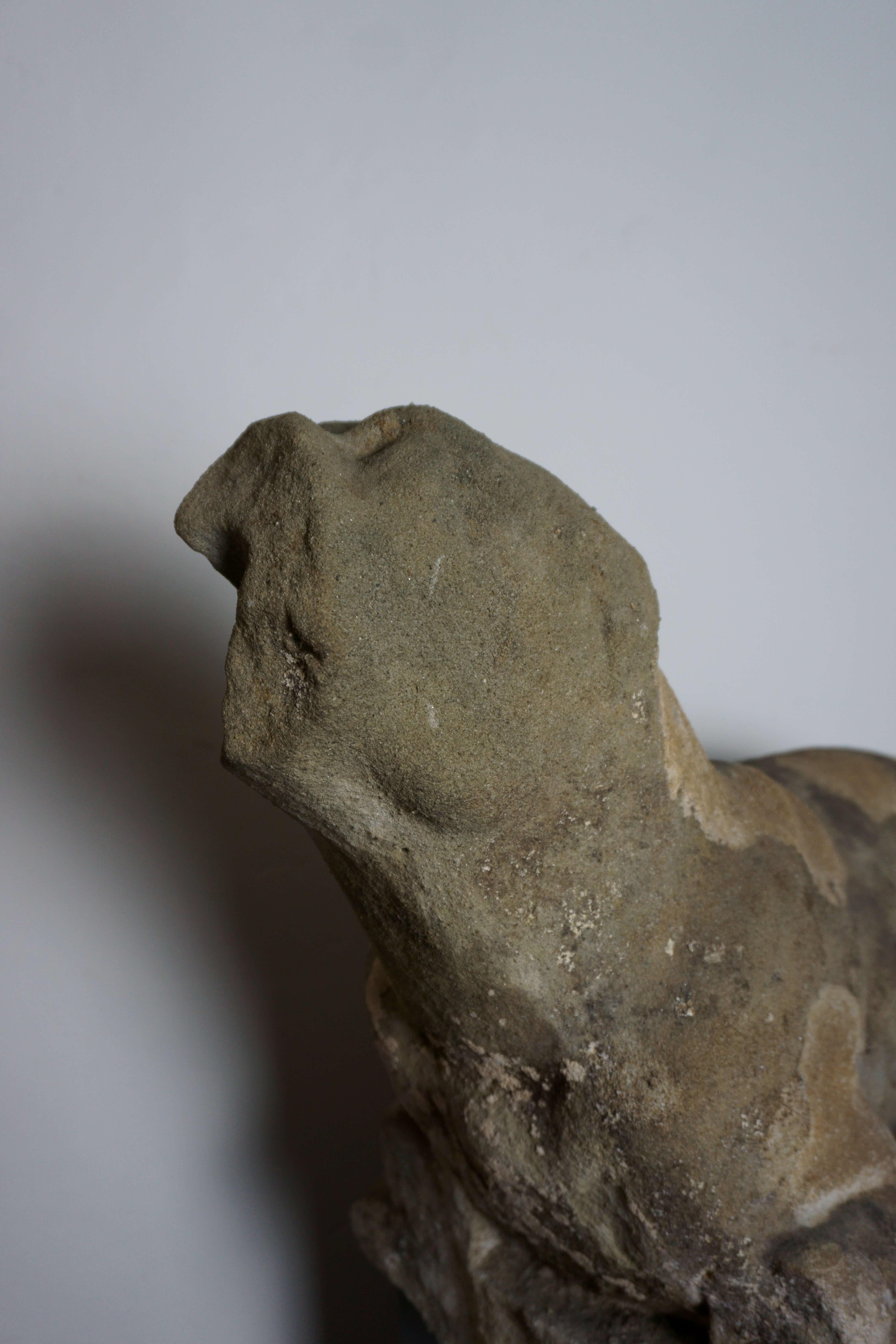 Levriero Grande Scultura Rinascimentale in Pietra Serena Firenze XVI secolo in vendita 7