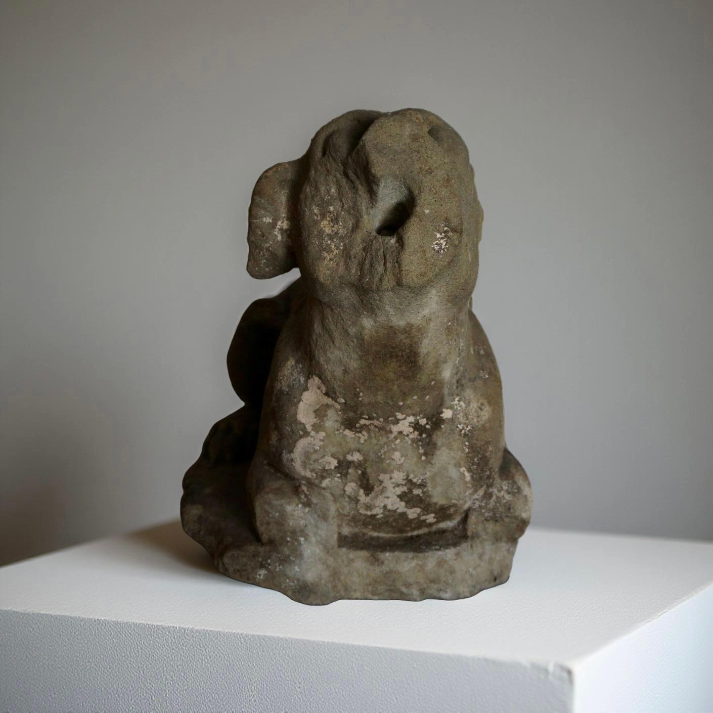 Scultore fiorentino del XVI secolo, levriero in pietra serena.
Questa affascinante scultura, giunta fino a noi in stato frammentario, raffigura un cane, un elegante levriero accovacciato, con la testa levata in un latrato minaccioso. La pregevole