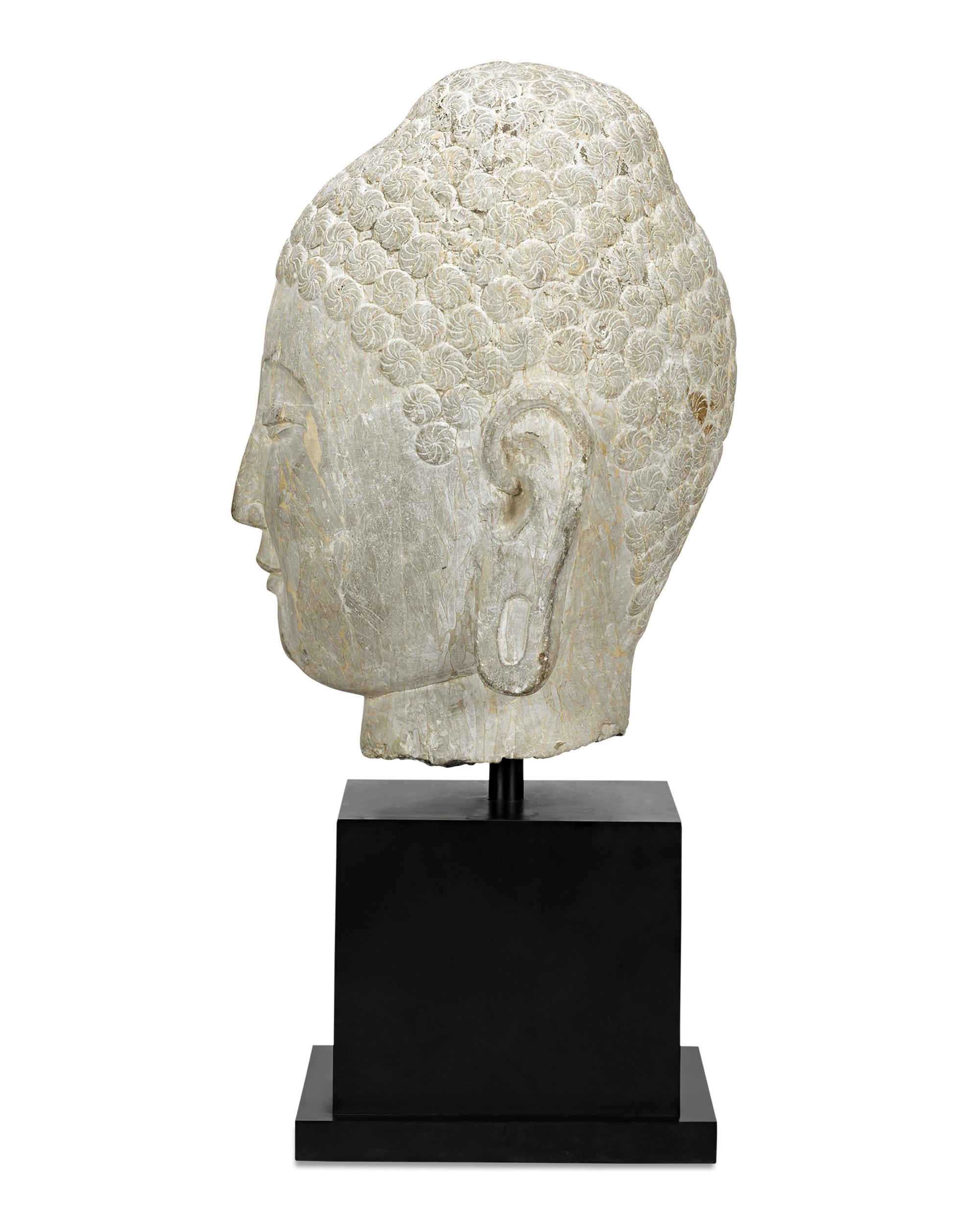 This limestone bust of the Buddha presents a picture of serenity and grace. A rare and striking image, it was sculpted in 6th-century Northern China during the Qi dynasty, one of the most innovative and distinctive periods for the art of stone