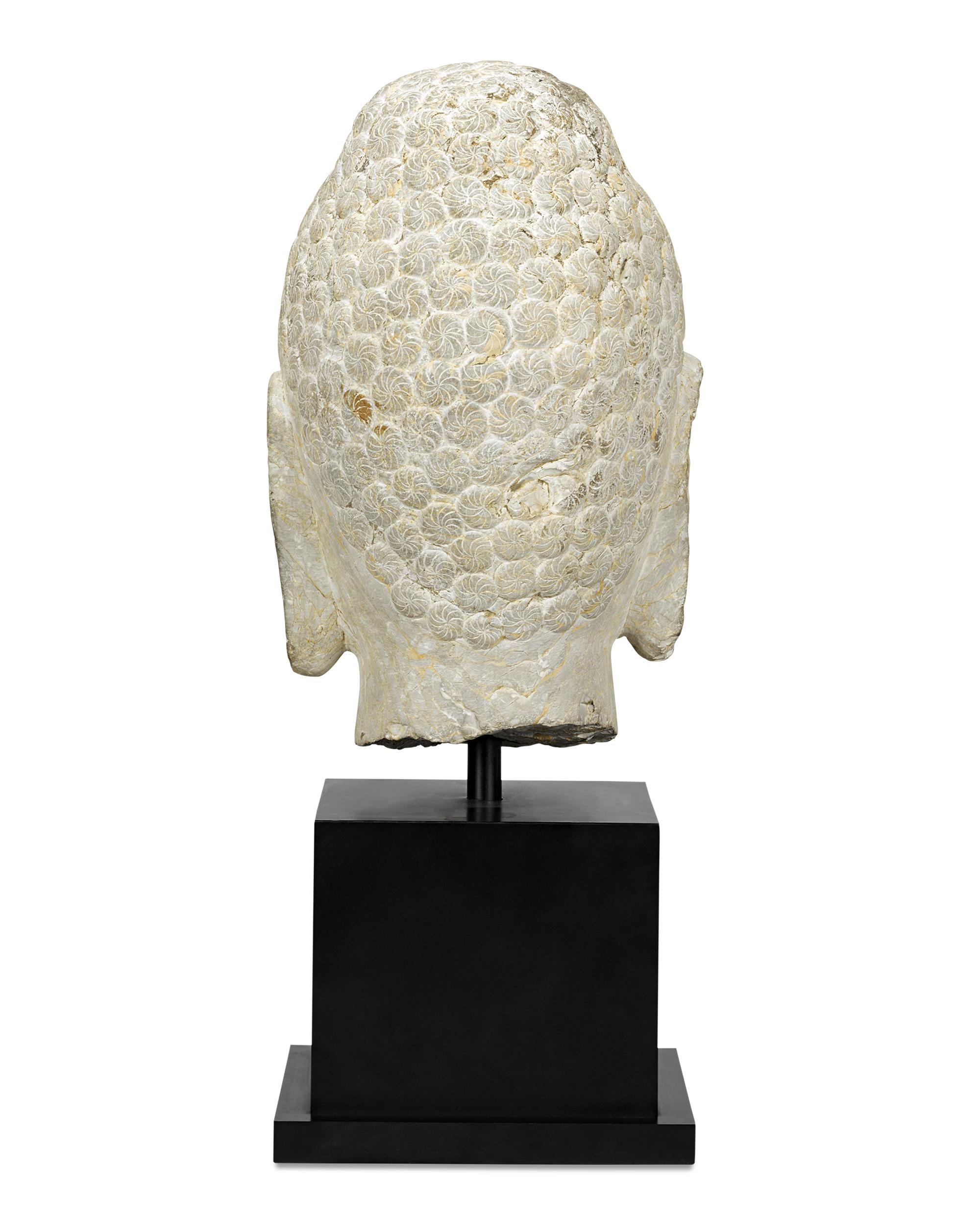 Limestone Buddha Head, 6th-Century Qi Dynasty For Sale 1