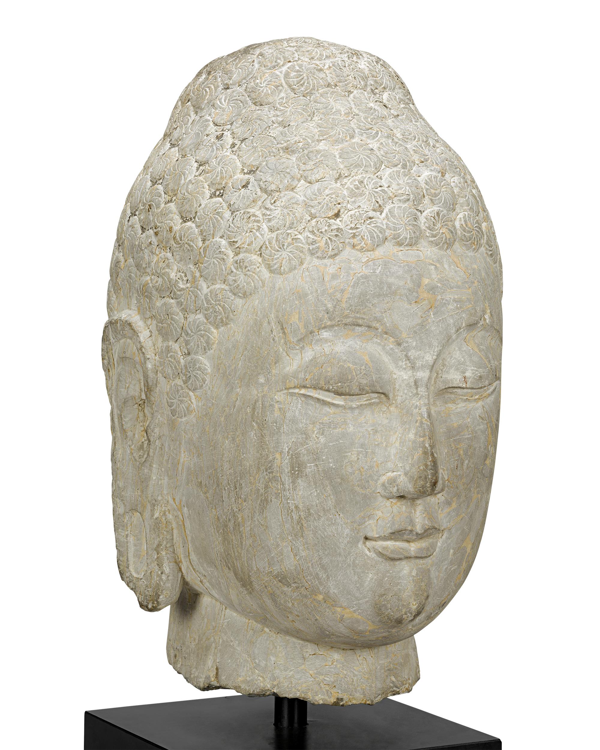 Limestone Buddha Head, 6th-Century Qi Dynasty For Sale 2