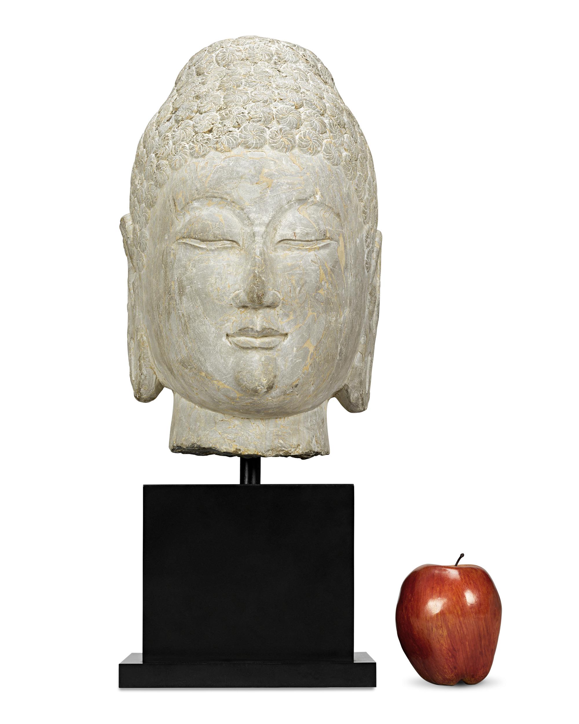 Limestone Buddha Head, 6th-Century Qi Dynasty For Sale 3