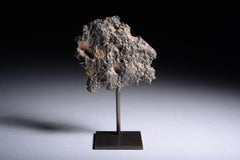 A Piece of The Moon - Lunar Meteorite