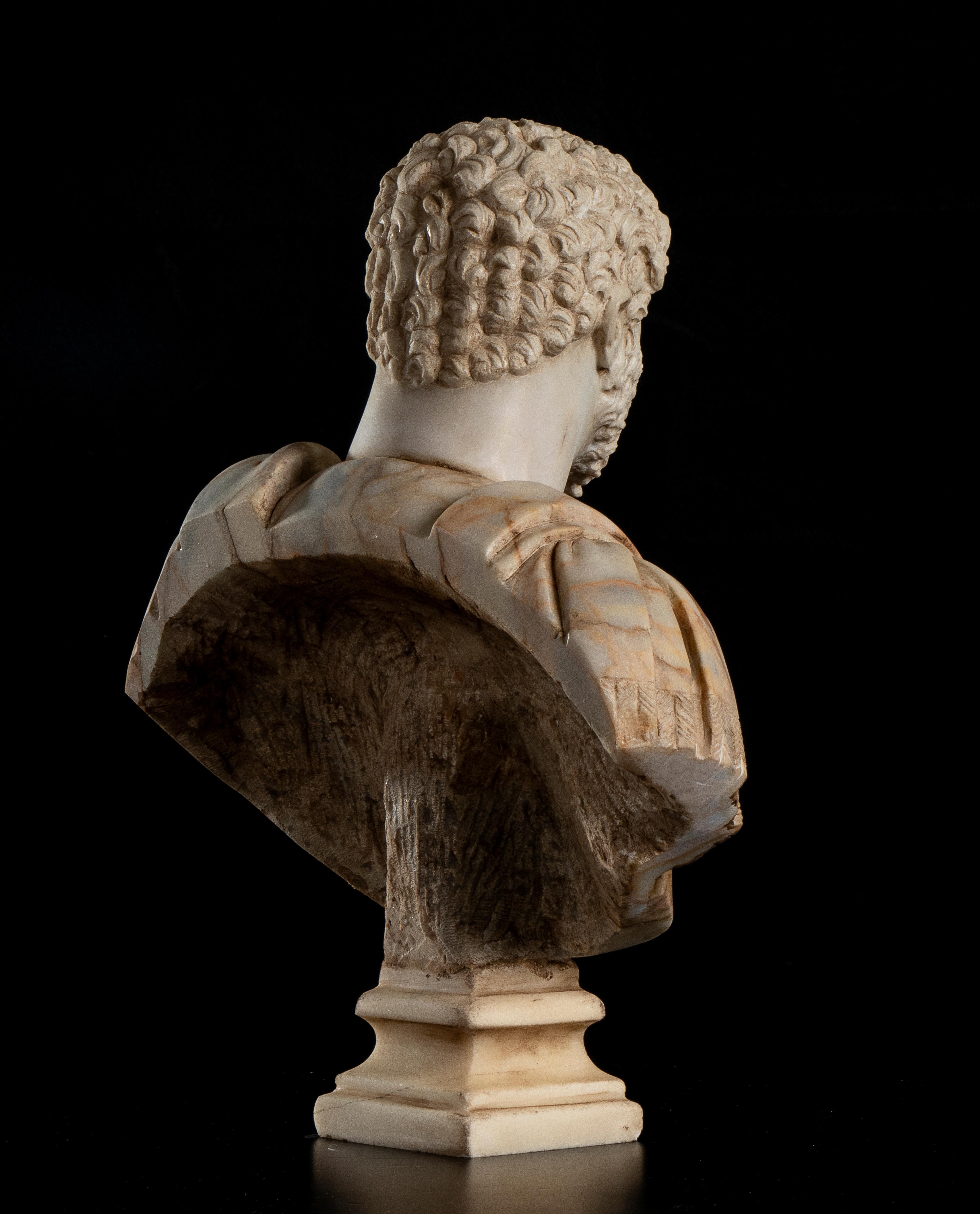 Marble Bust Portrait Roman Emperor Septimius Severus Grand Tour After Antique - Other Art Style Sculpture by Unknown