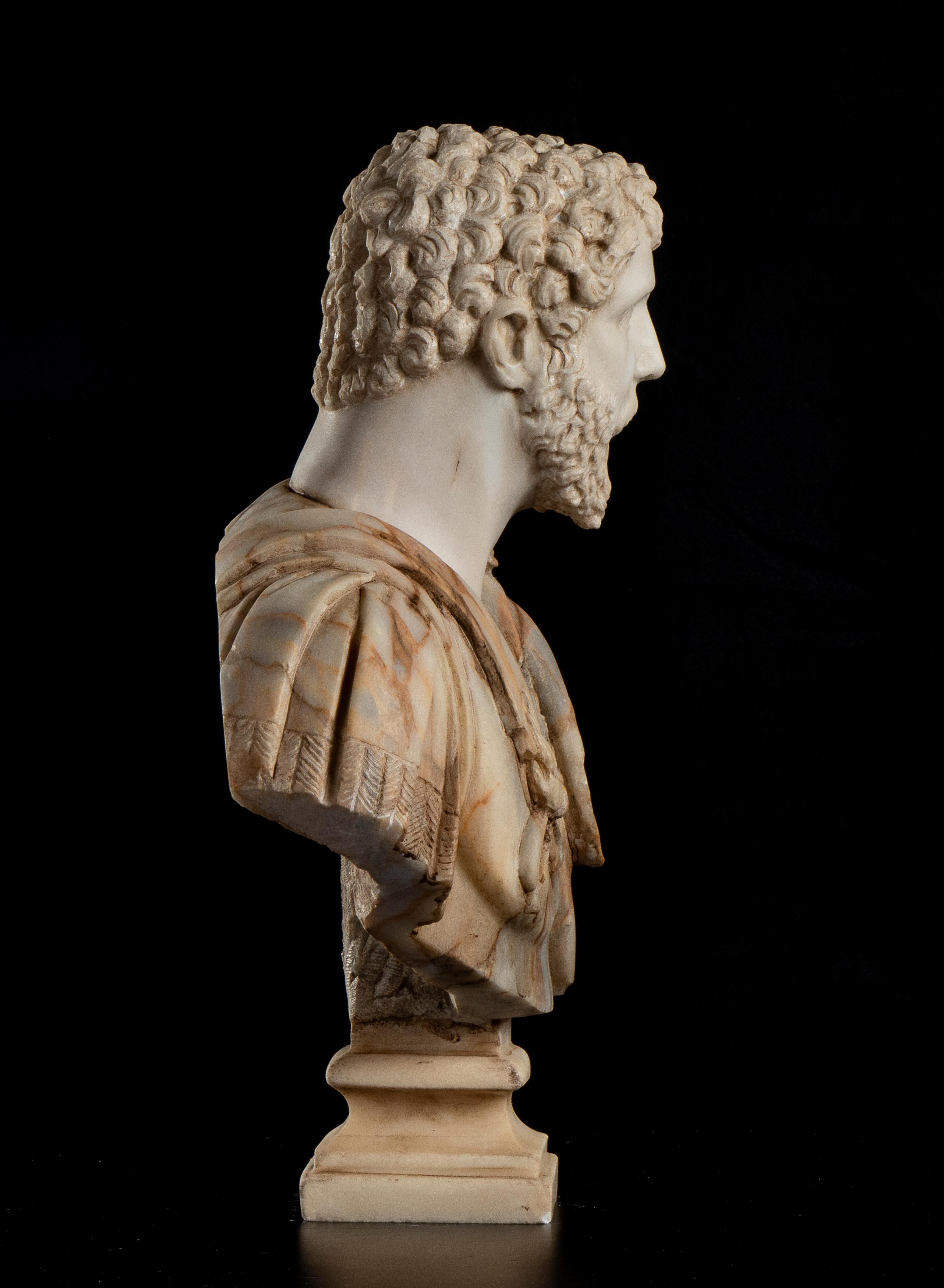The portraits depict the emperor  Septimius Severus, with their heads slightly tilted upwards and vaulted in statuary white marble, mounted on loricated bust made in a rare and specimen marble knew as marble of Chio or Portasanta . Inspired by