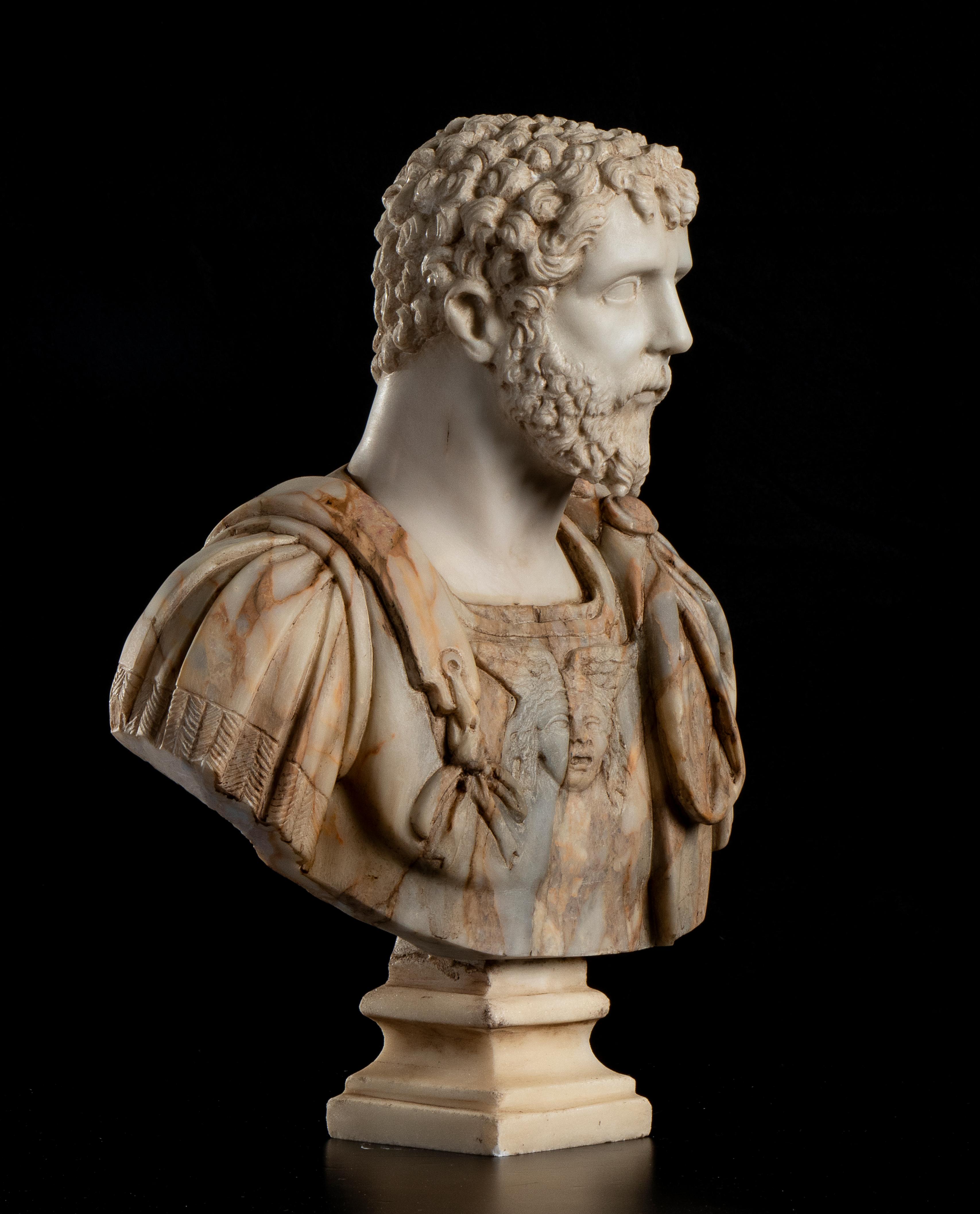 Marble Bust Portrait Roman Emperor Septimius Severus Grand Tour After Antique 1