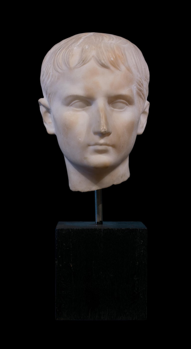 Unknown - 18th Century marble head of a young Augustus For Sale at 1stDibs