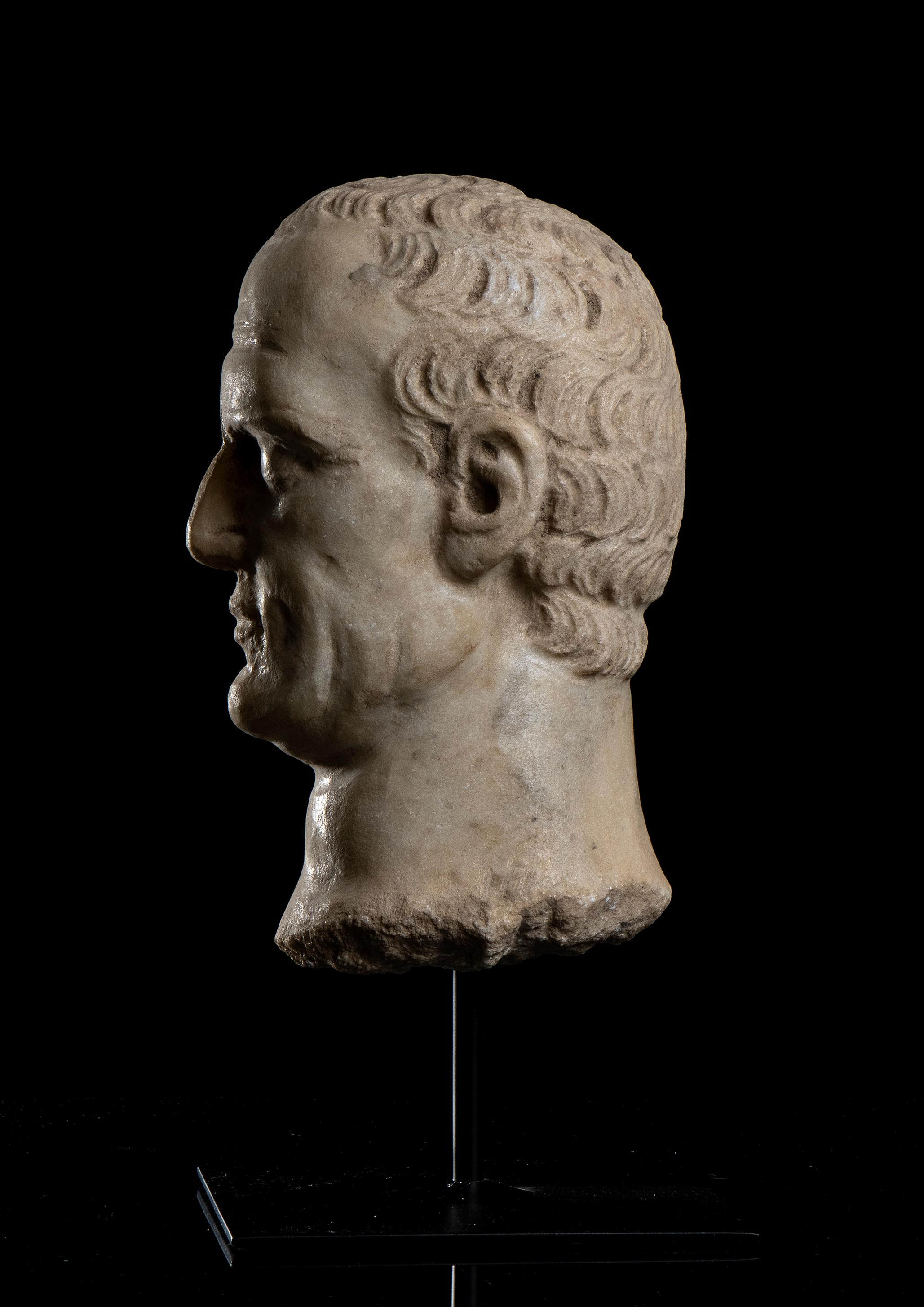 Marble Sculpture Head Portrait of Julius Caesar Grand Tour Archeological Style   2