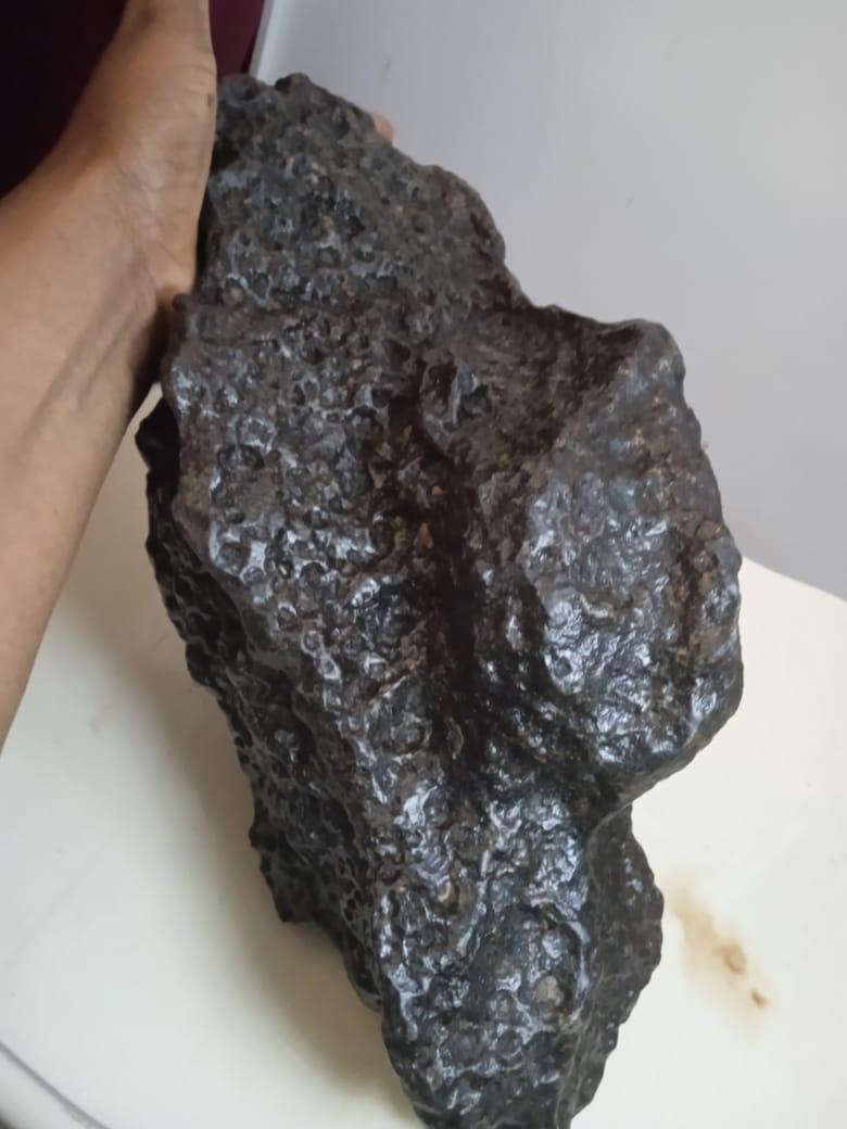mesosiderite metorite certified 7 kilos - Sculpture by Unknown