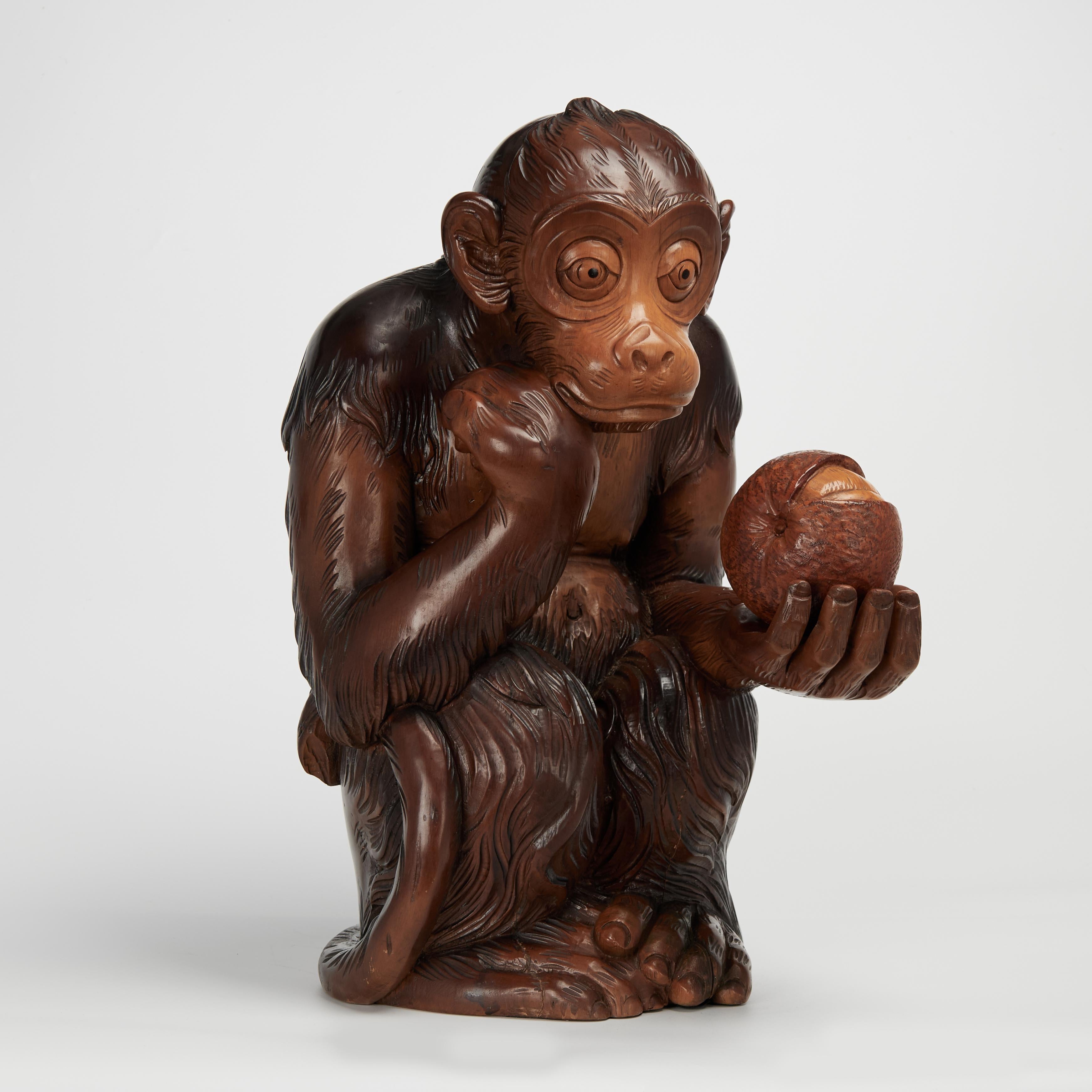 Figurative Sculpture di Unknown - Scimmia in legno intagliato di Macabo, metà secolo, Italia