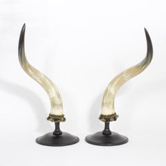 Mid-Century Pair of Large and Dramatic Polished Horns on Mounts