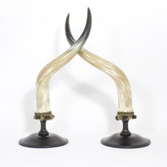 Vintage Mid-Century Pair of Large and Dramatic Polished Horns on Mounts