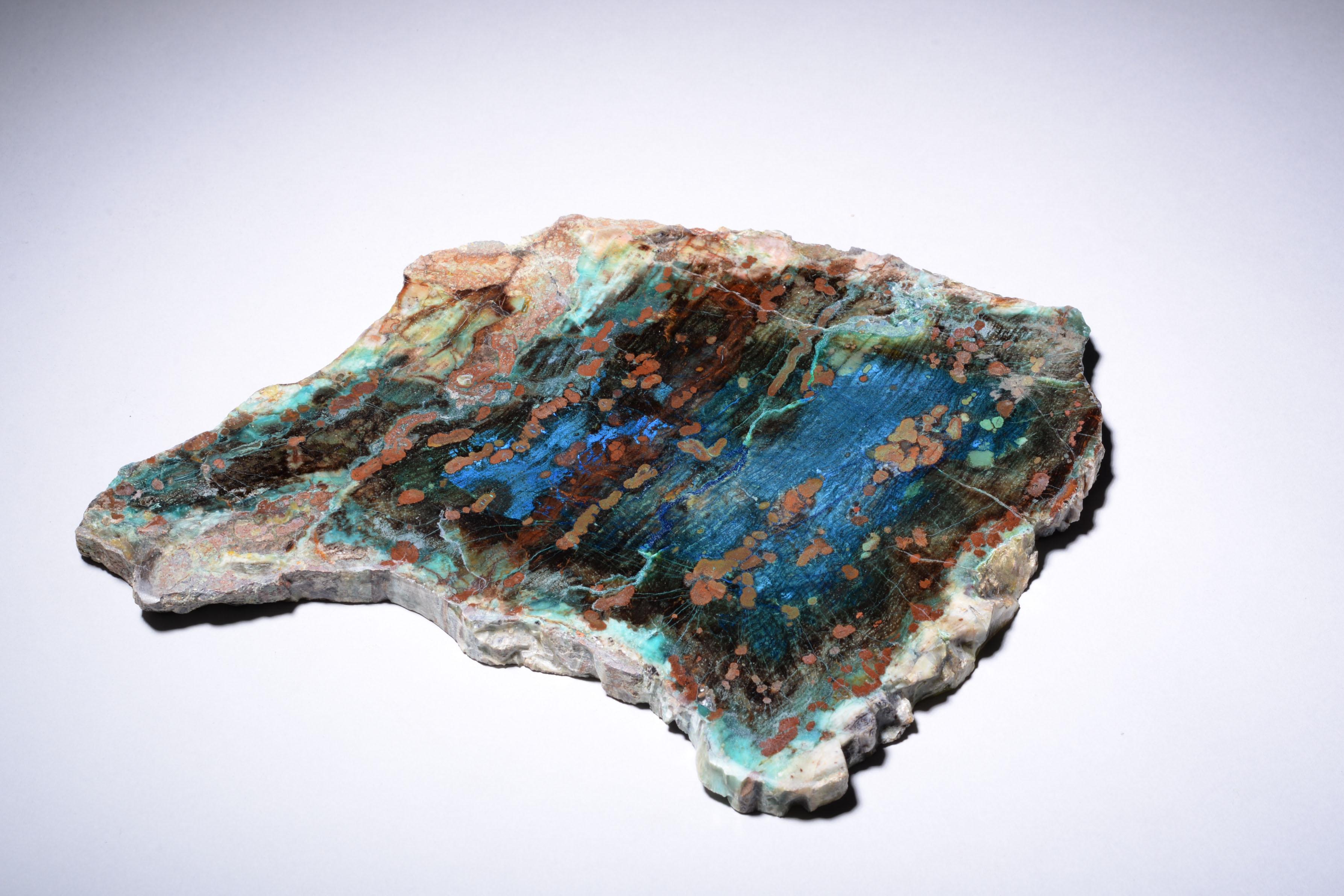 This beautiful, vibrant cross section of petrified wood originates from Turkey. Its magnificent colours were created by waters rich in blue azurite, turquoise-green malachite and copper-red cuprite, which filtered into the wood as it fossilised.