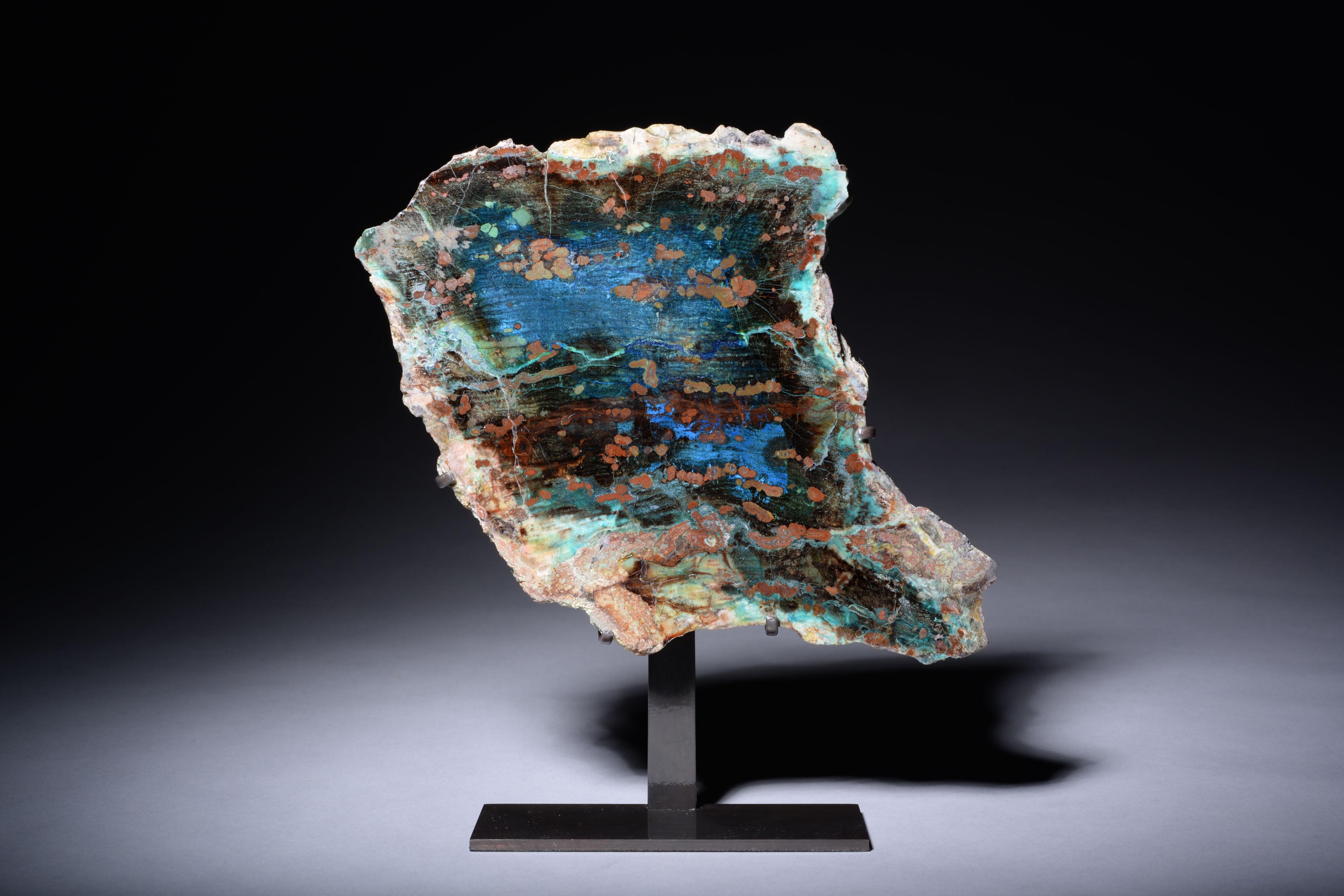 Unknown Abstract Sculpture - Multicoloured Petrified Wood Fossil