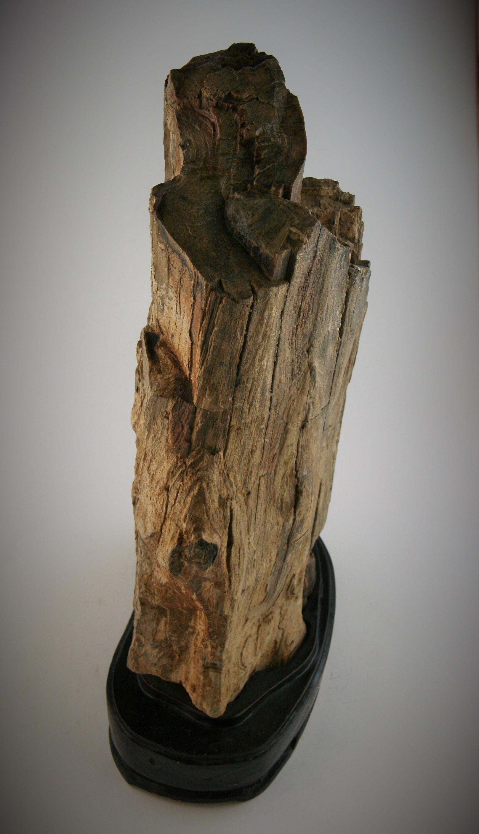 Natural Petrified Wood Sculpture 5