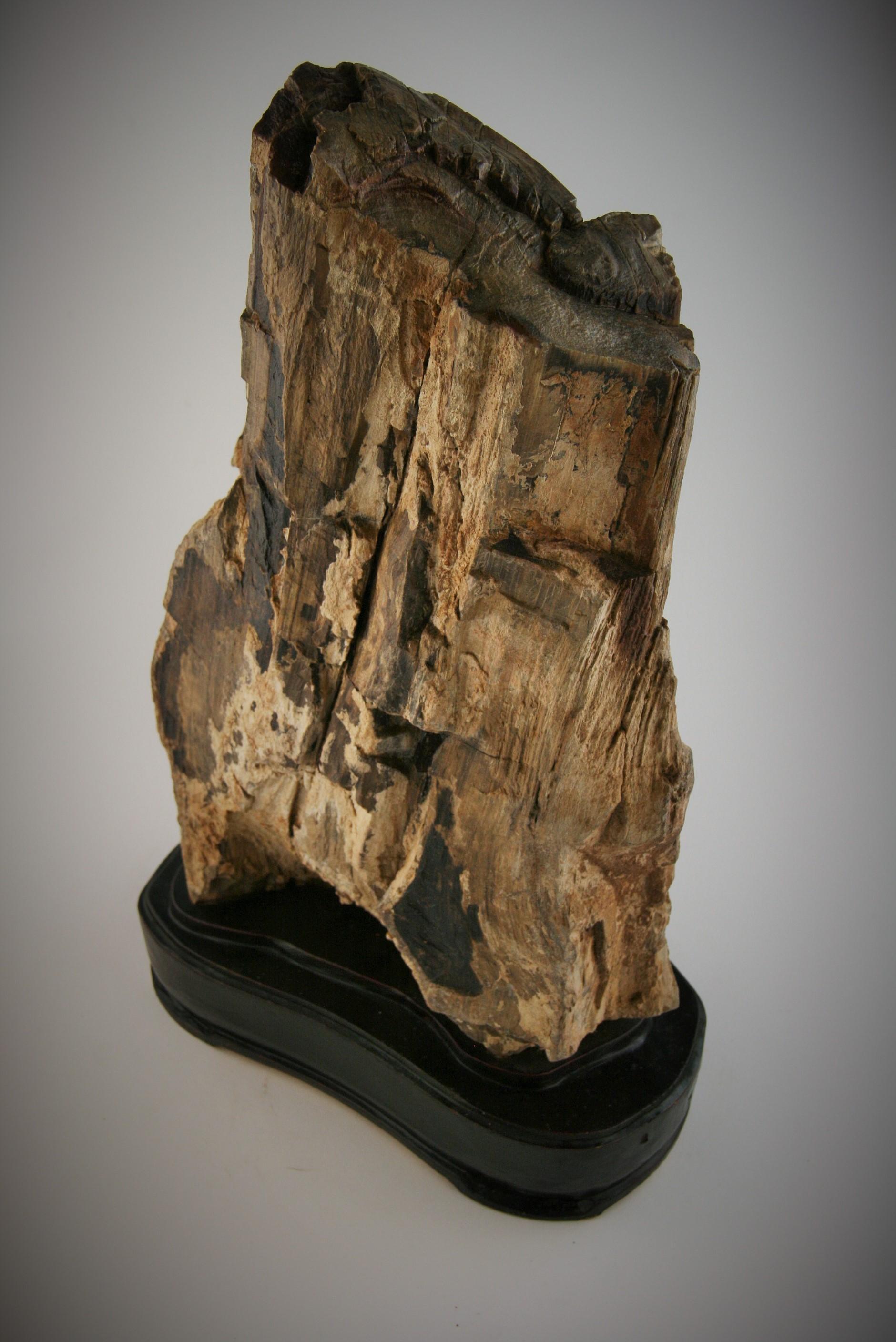 Natural Petrified Wood Sculpture 6