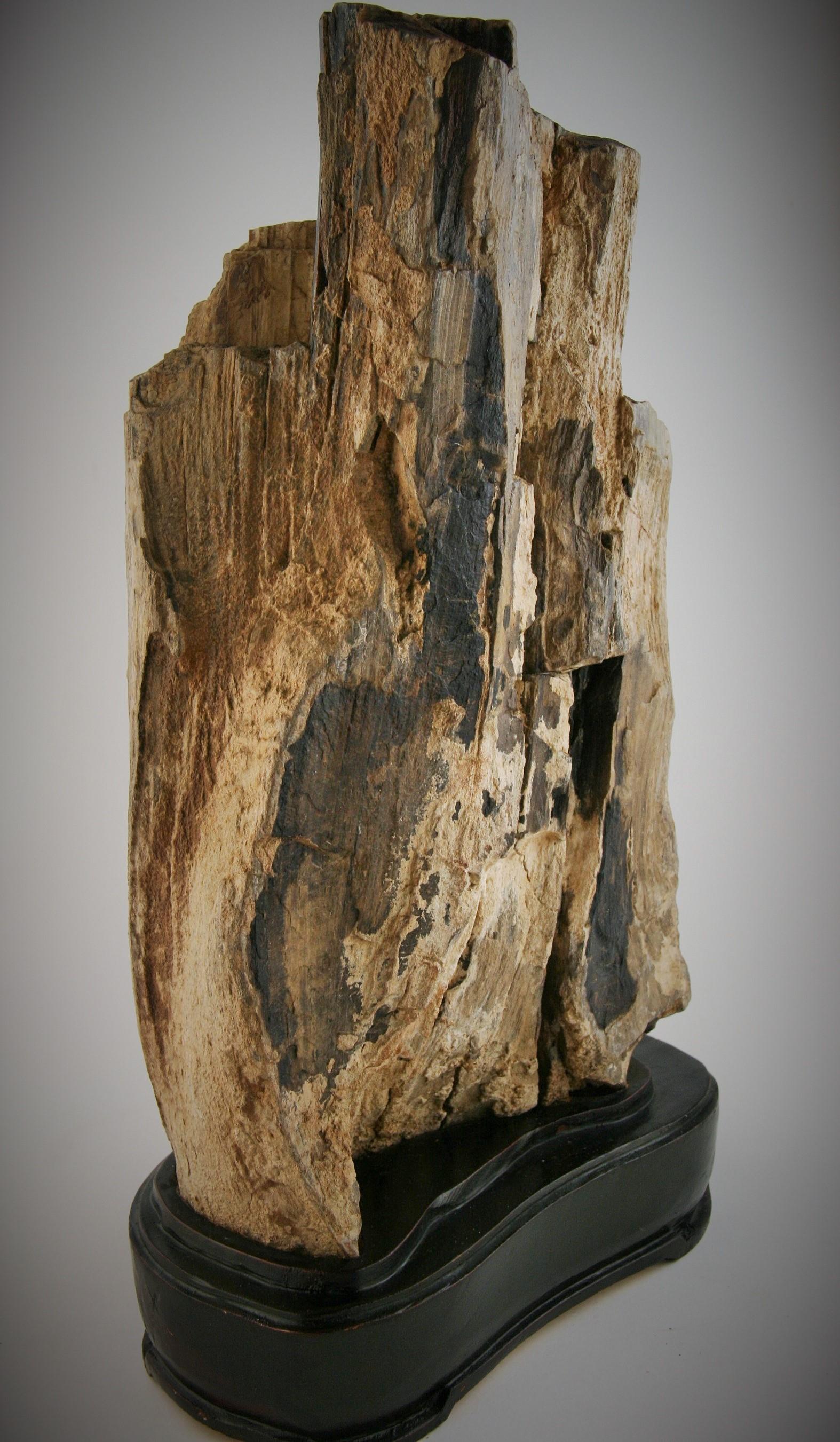 Natural Petrified Wood Sculpture 1
