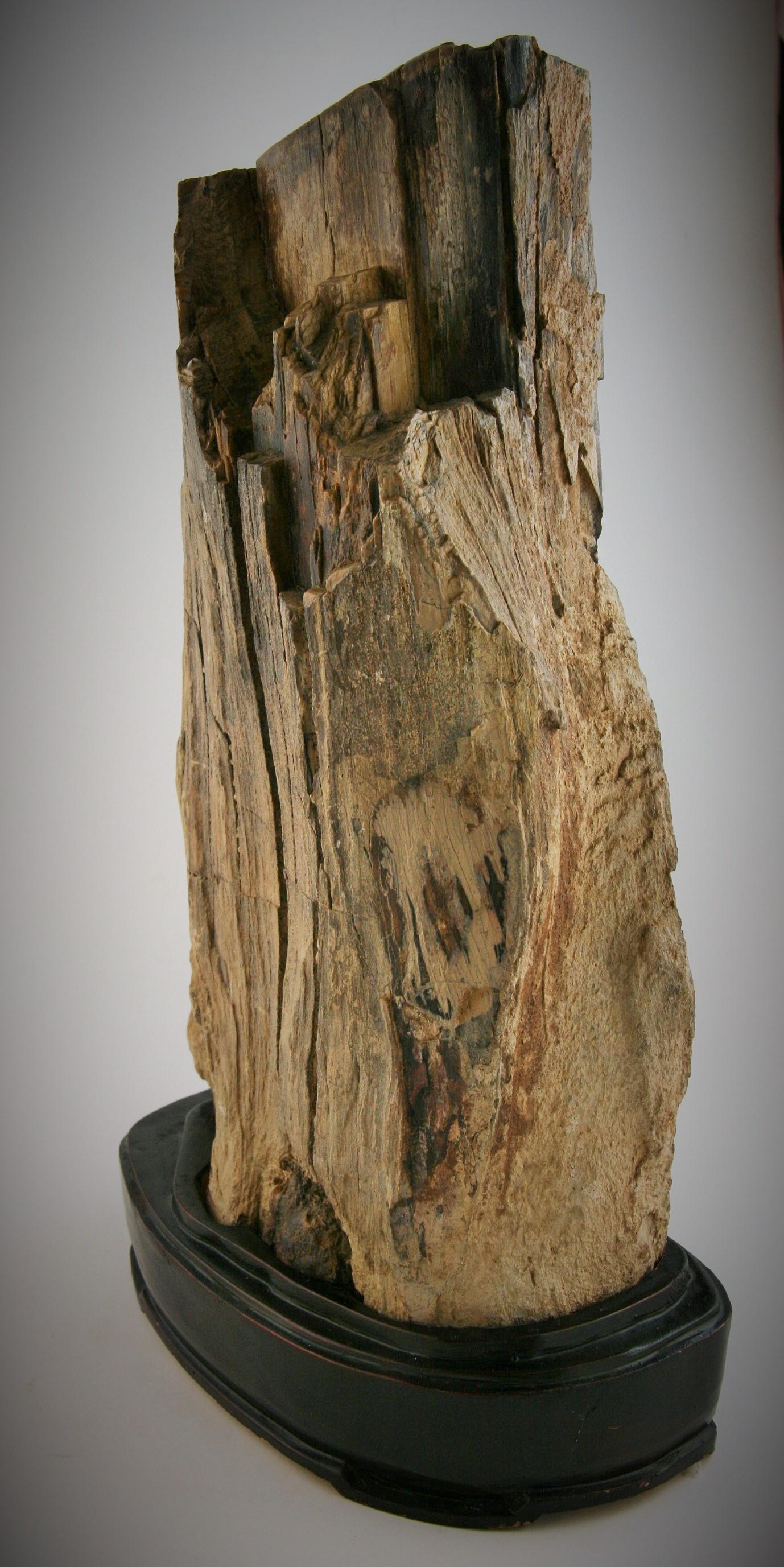 Natural Petrified Wood Sculpture 2