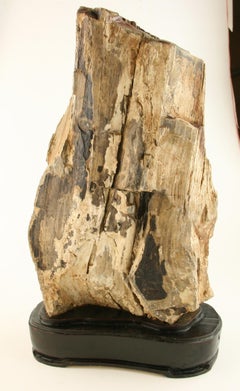 Natural Petrified Wood Sculpture