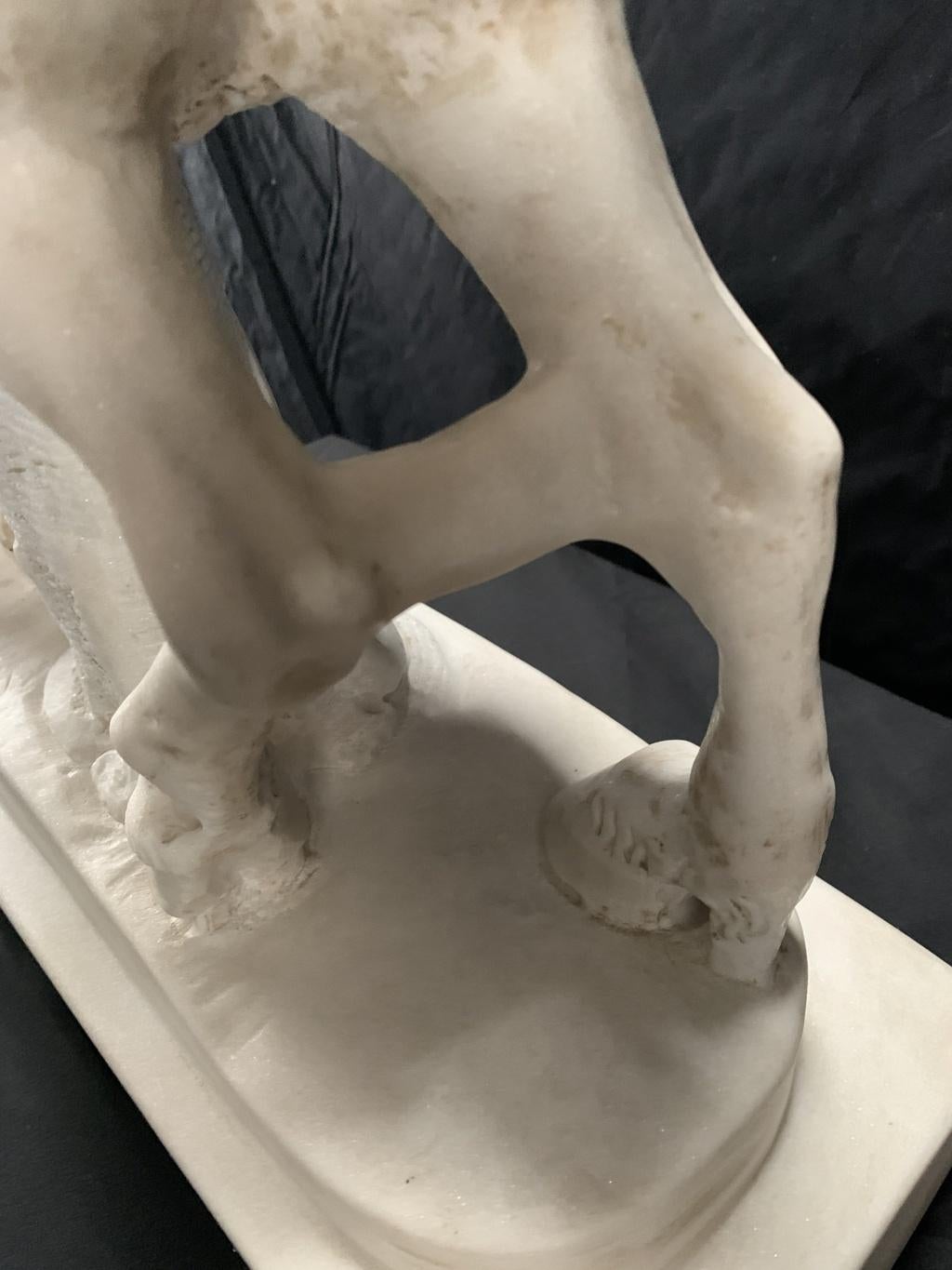 Escultura neoclásica en Roma- Mármol italiano de finales del siglo XVIII - Viejo centauro 13