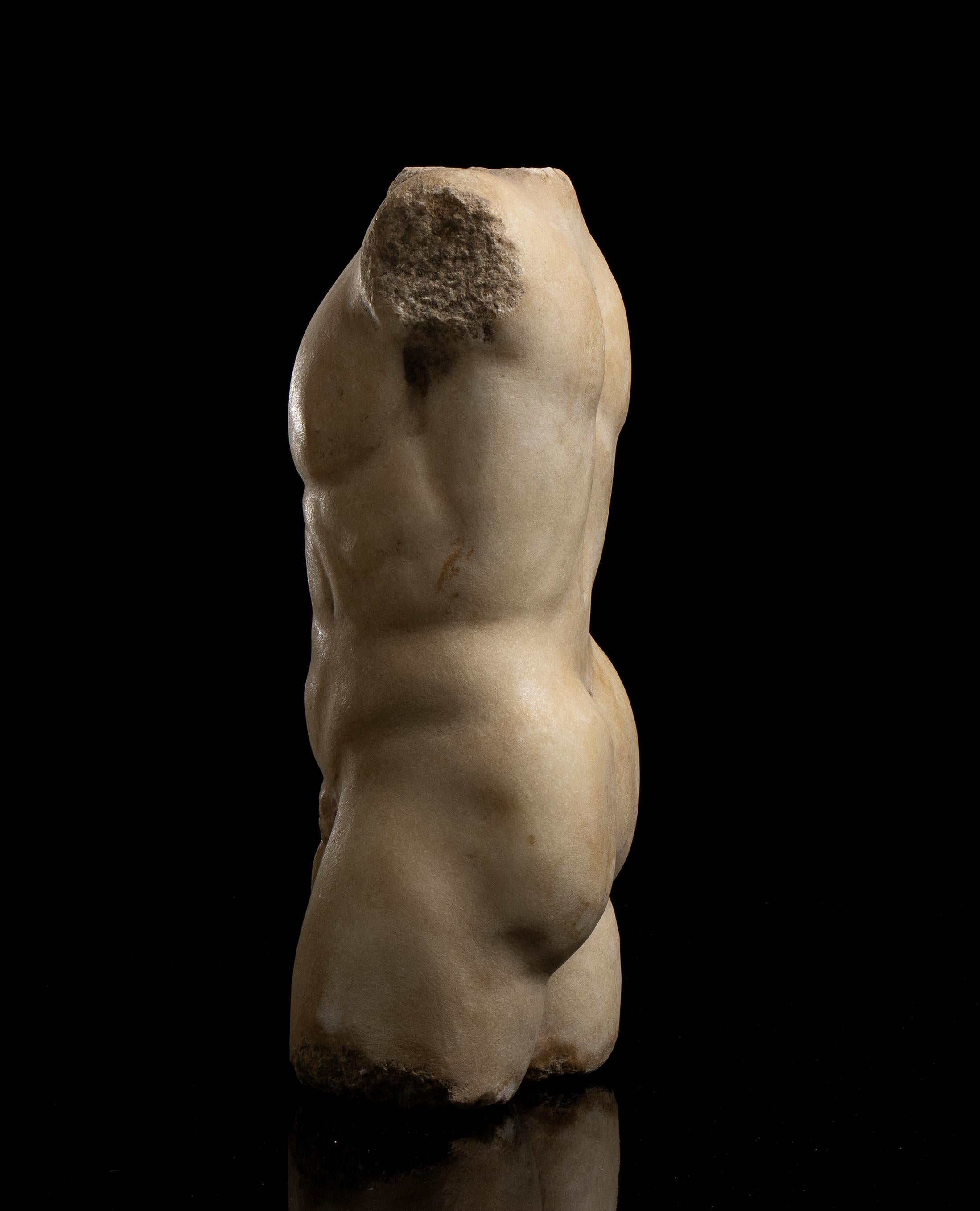 Nude White Marble Male Torso Sculpture Classical Greek Styl  19th Grand Tour 3