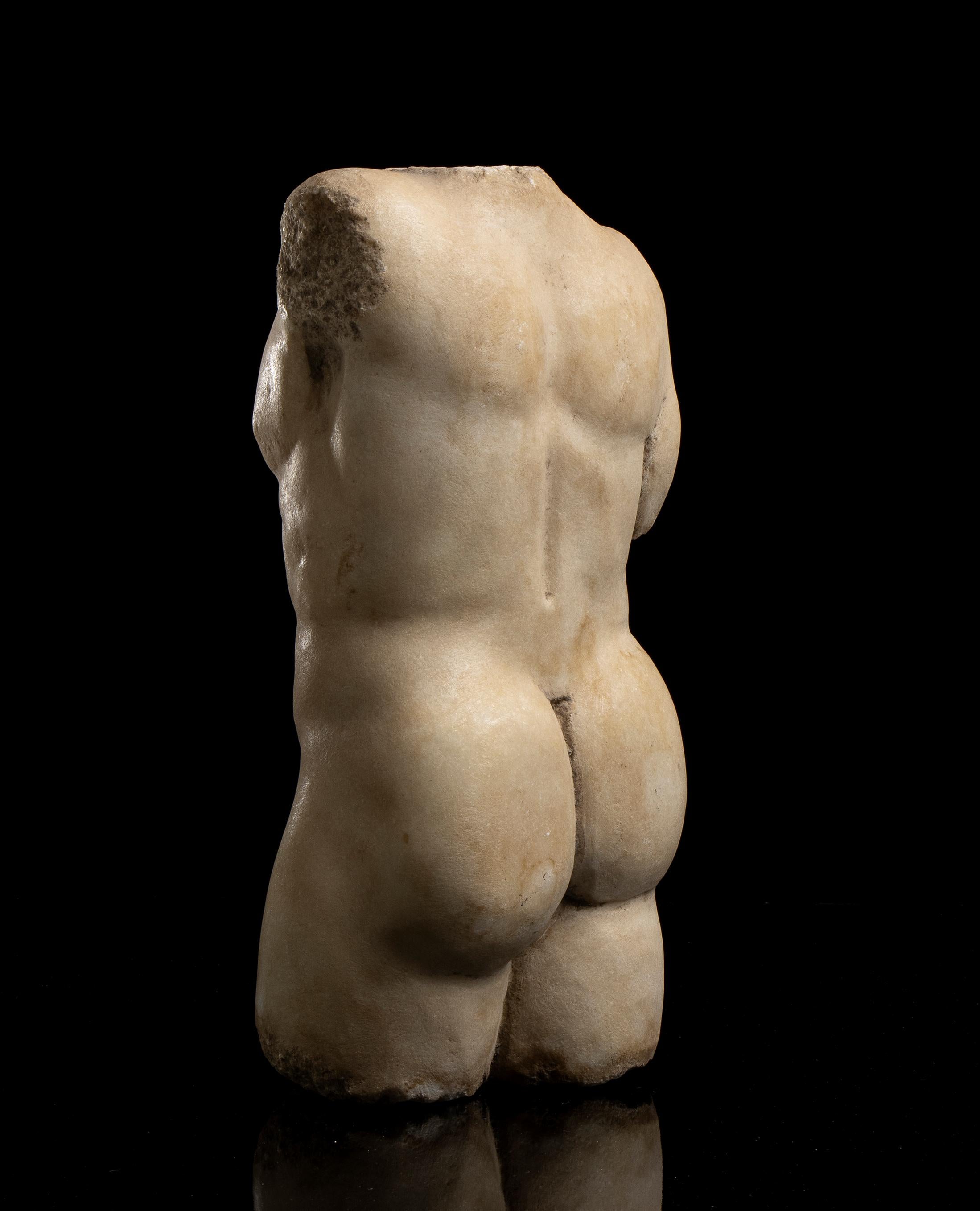 Nude White Marble Male Torso Sculpture Classical Greek Styl  19th Grand Tour 4